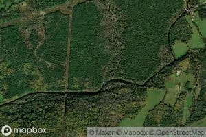 Elm Brook