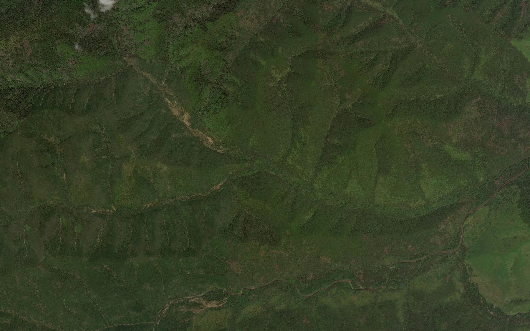 Satellite map of the Zverinyy