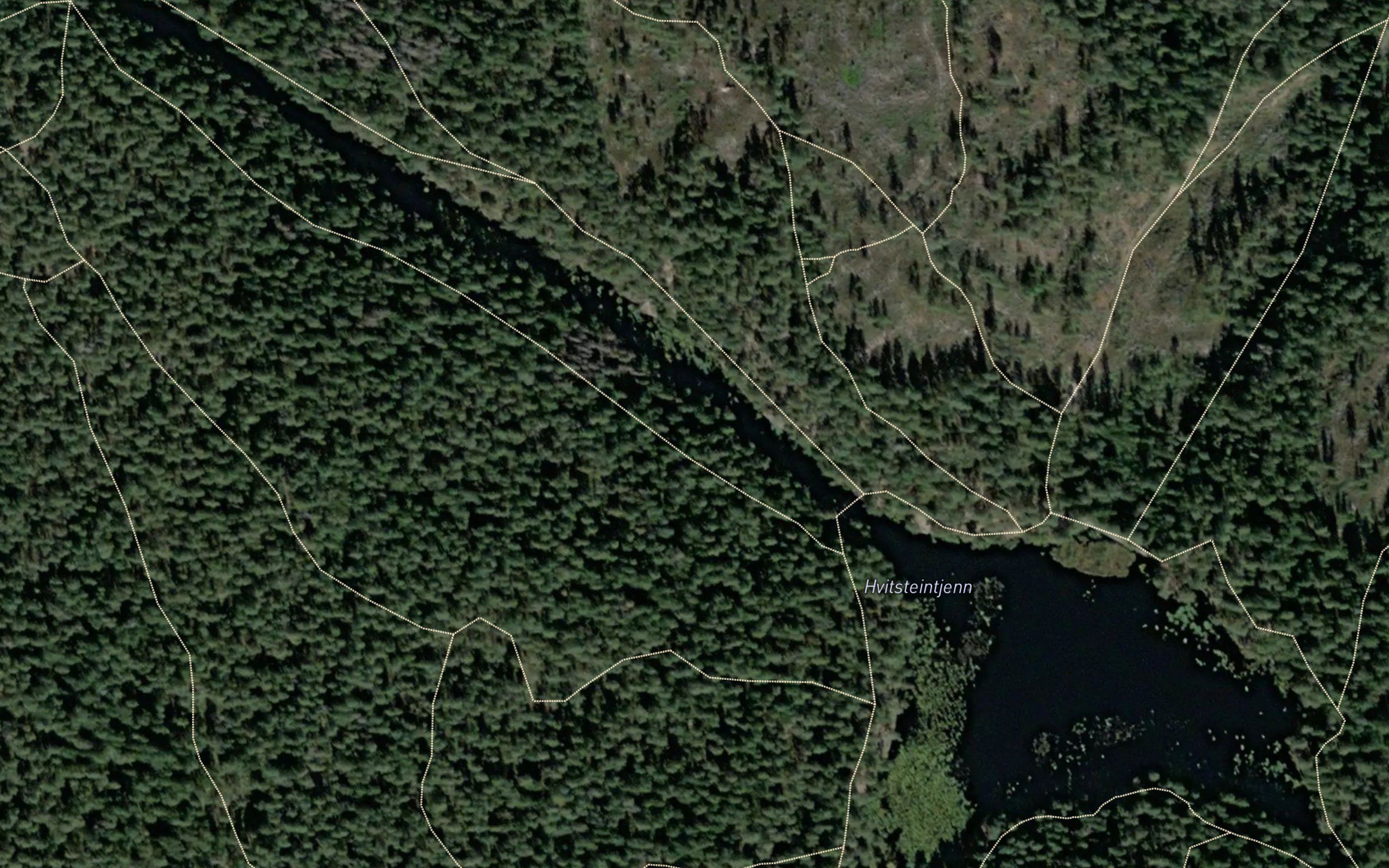 Hvitsteintjern