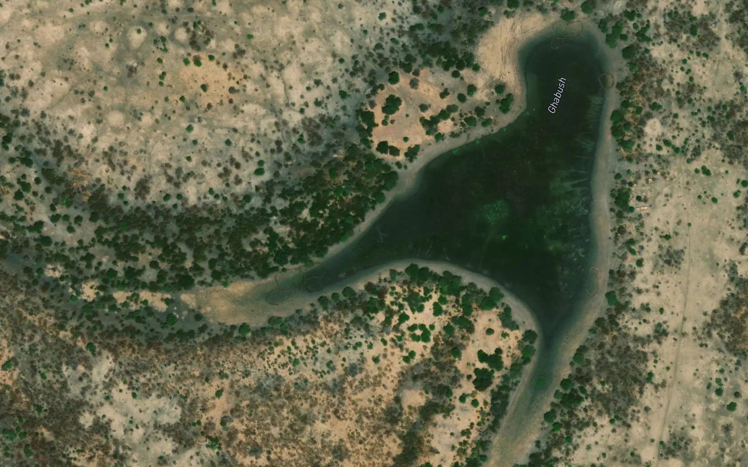 Ghabush
