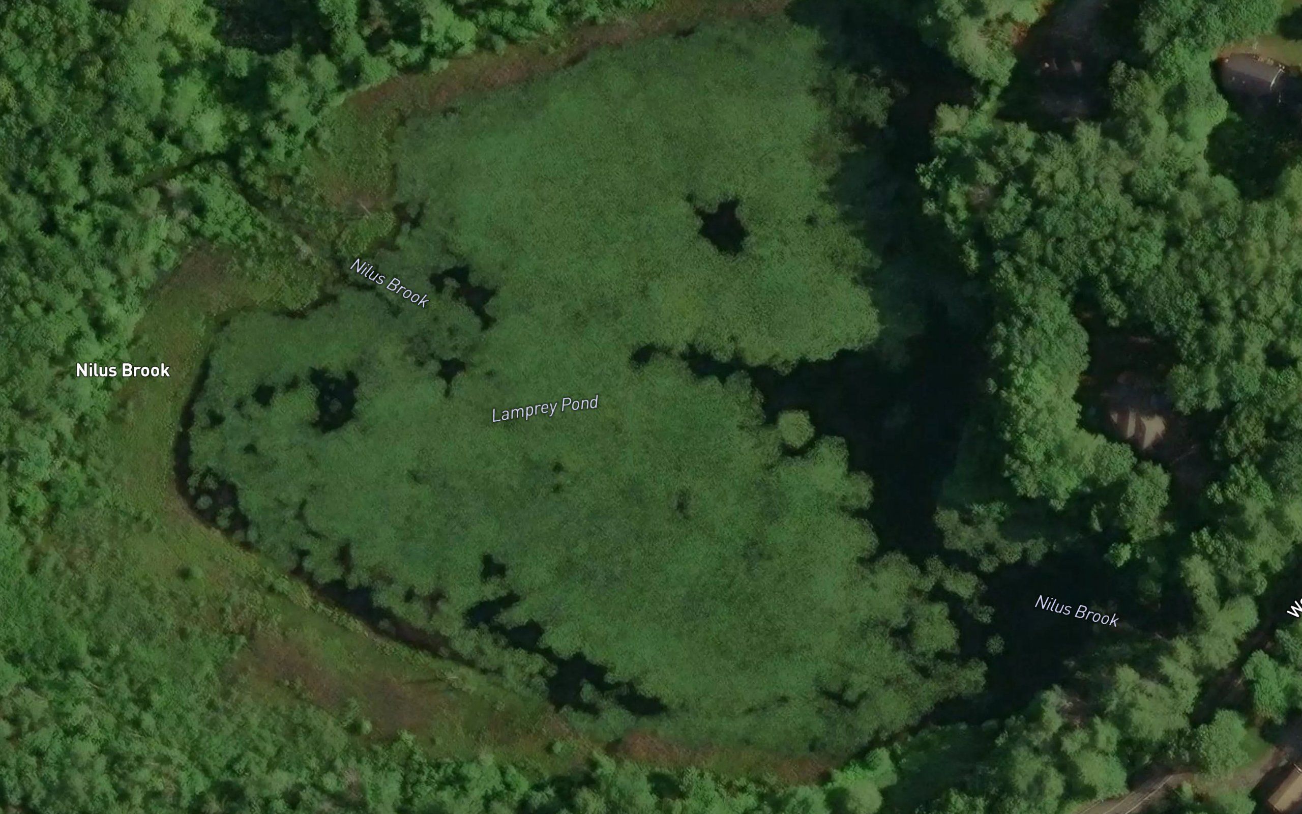 Lamprey Pond