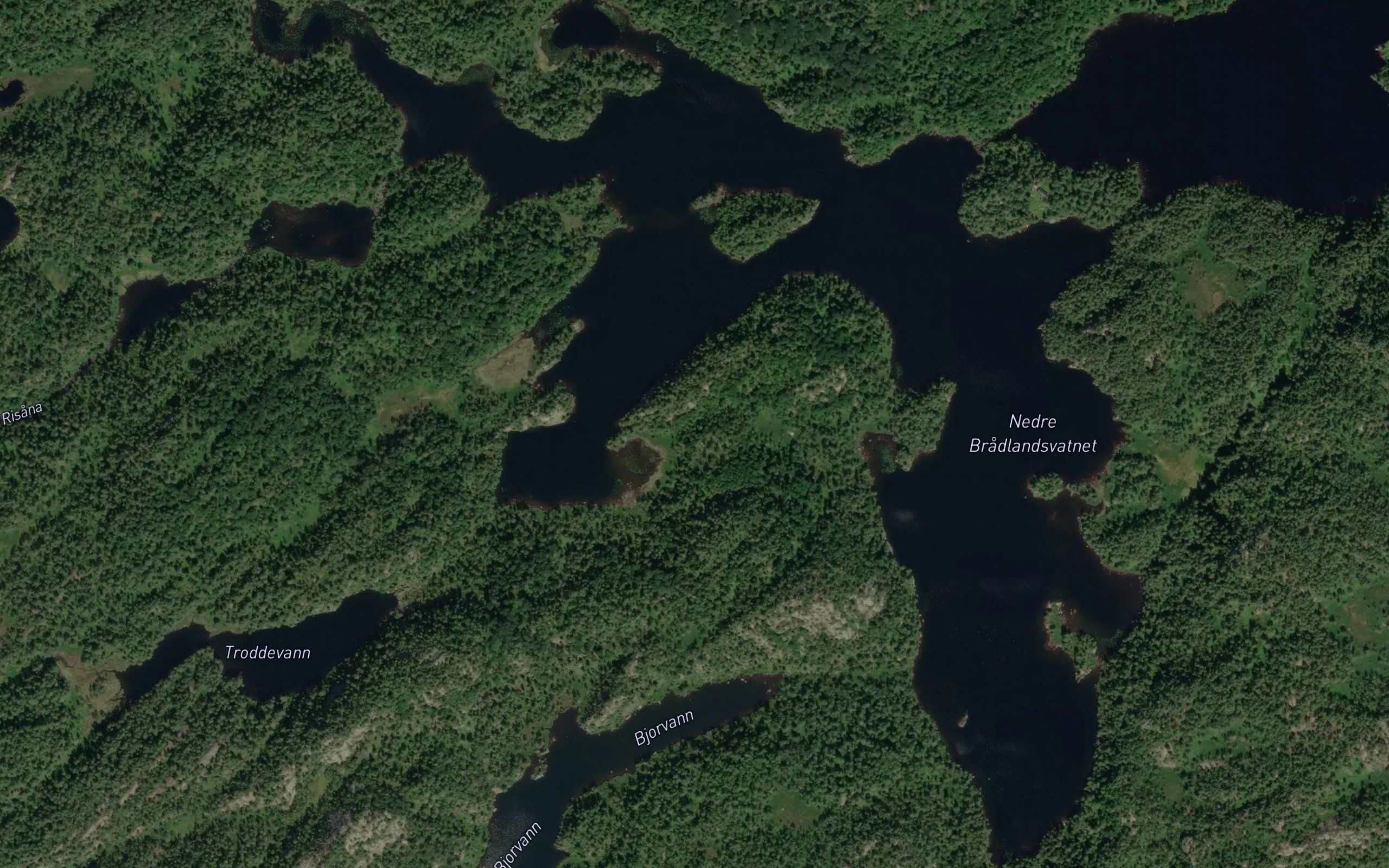 Nedre Bradlandsvatnet