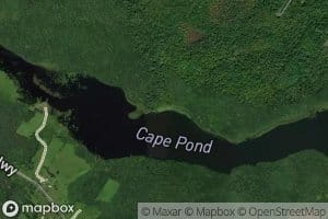 Cape Pond