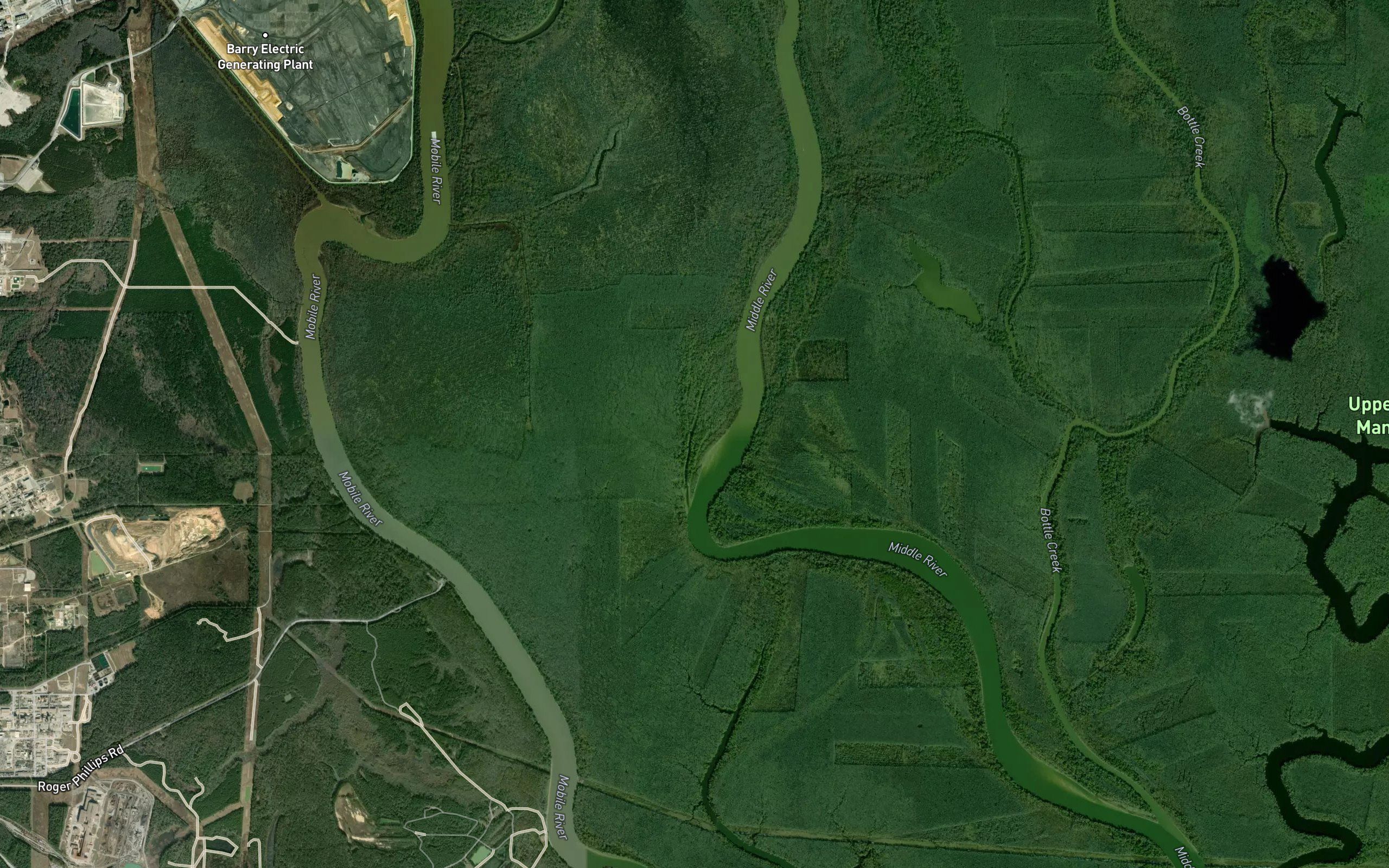 Bayou Tola