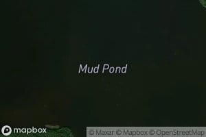 Mud Pond