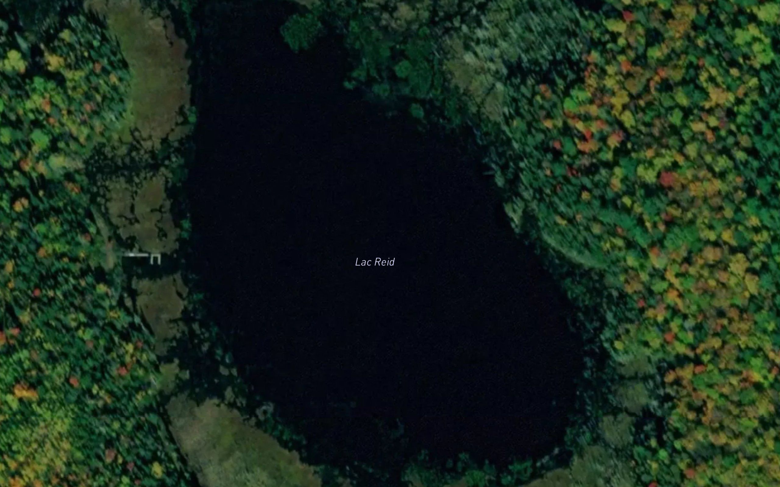 Lac Reid