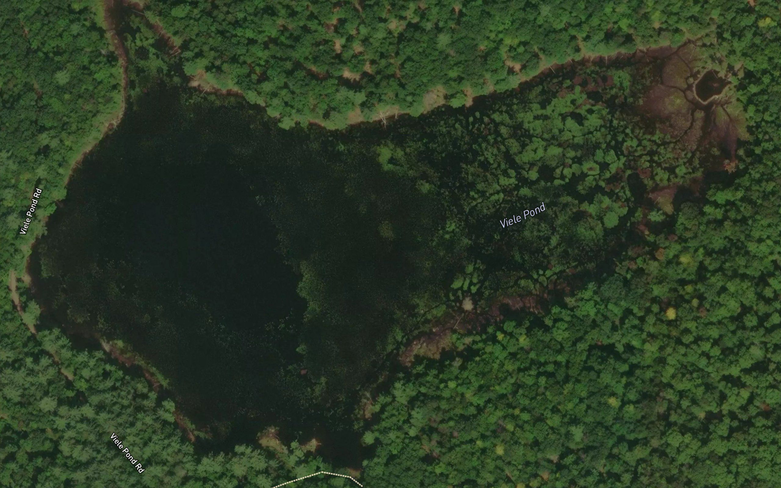 Viele Pond