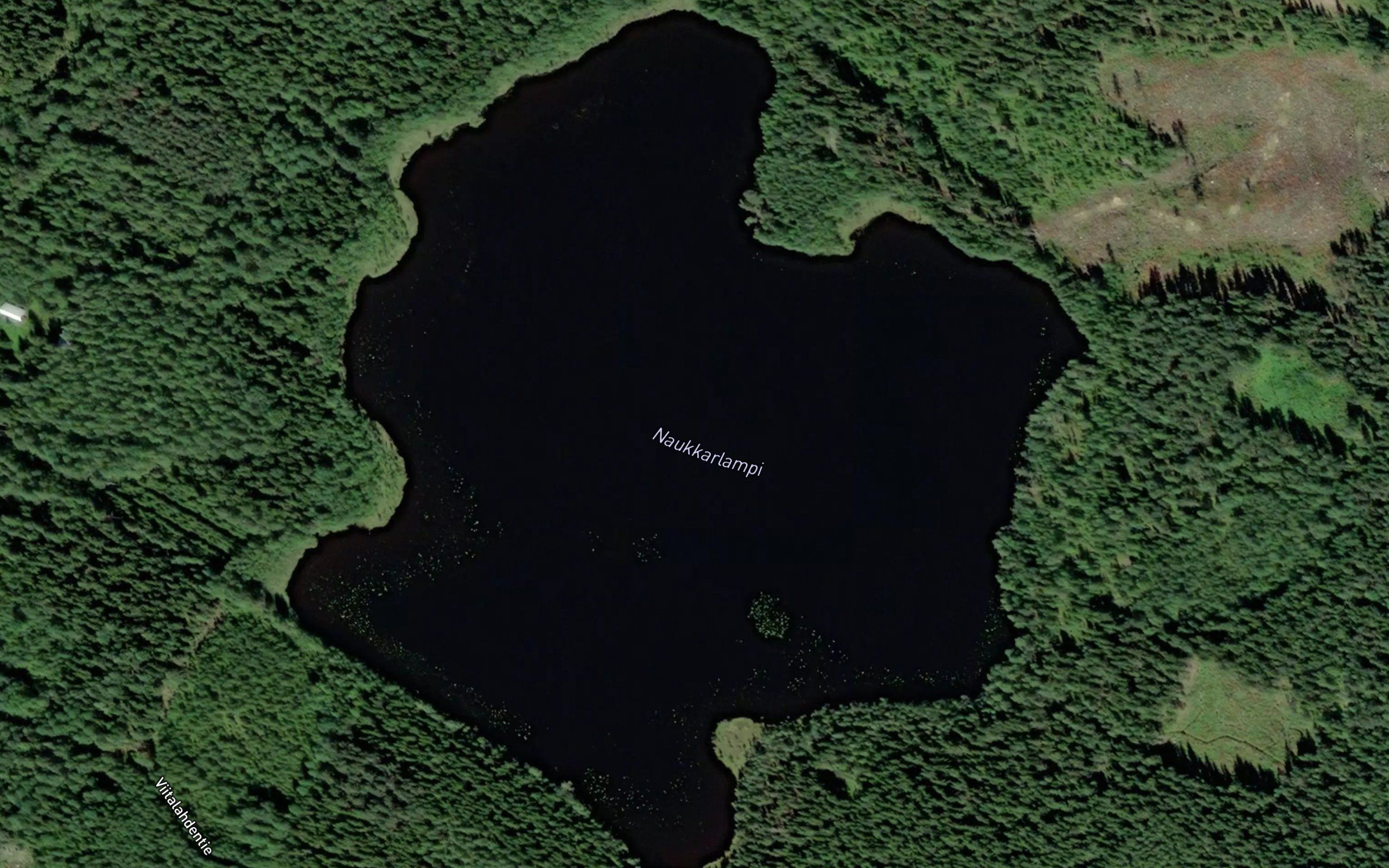 Naukkarlampi