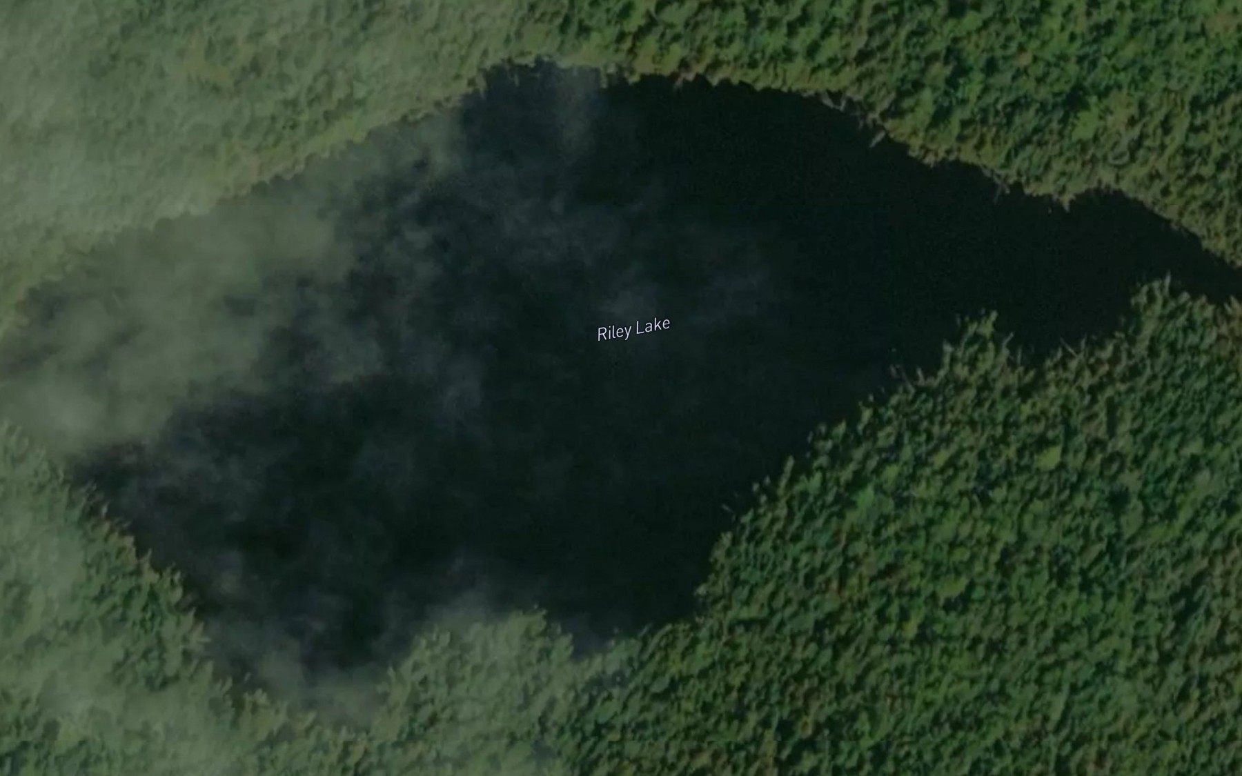 Satellite map of the Riley Lake
