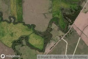 Arroyo de la India Muerta