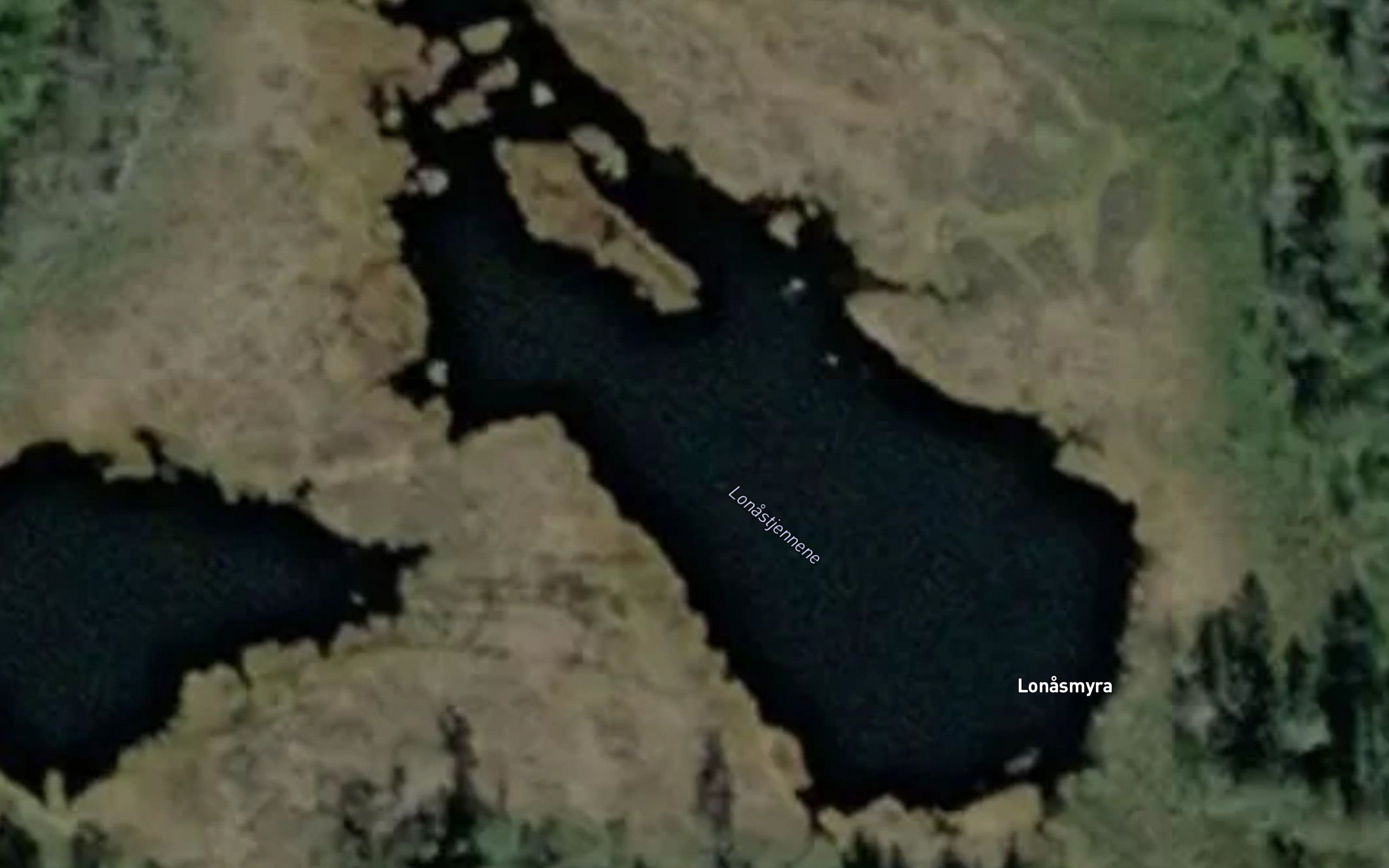 Lonastjennene