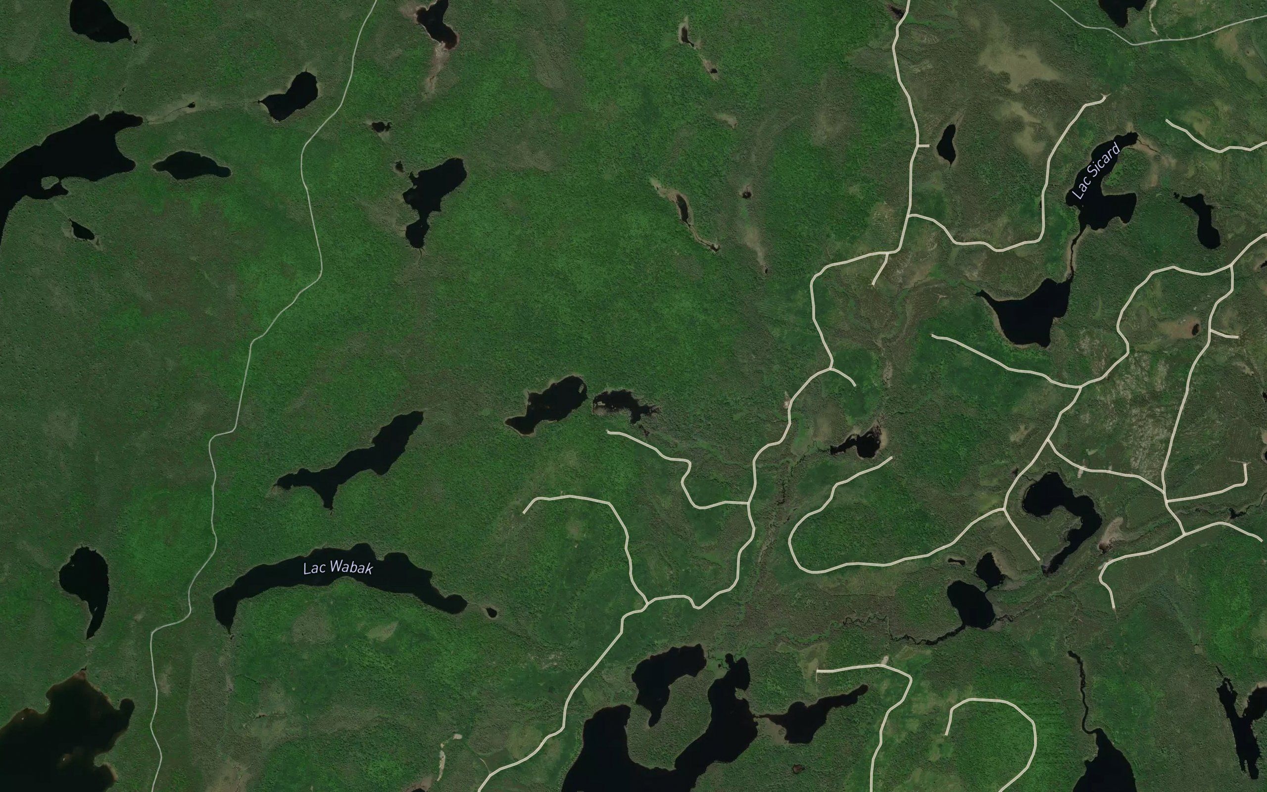 Lac Remora
