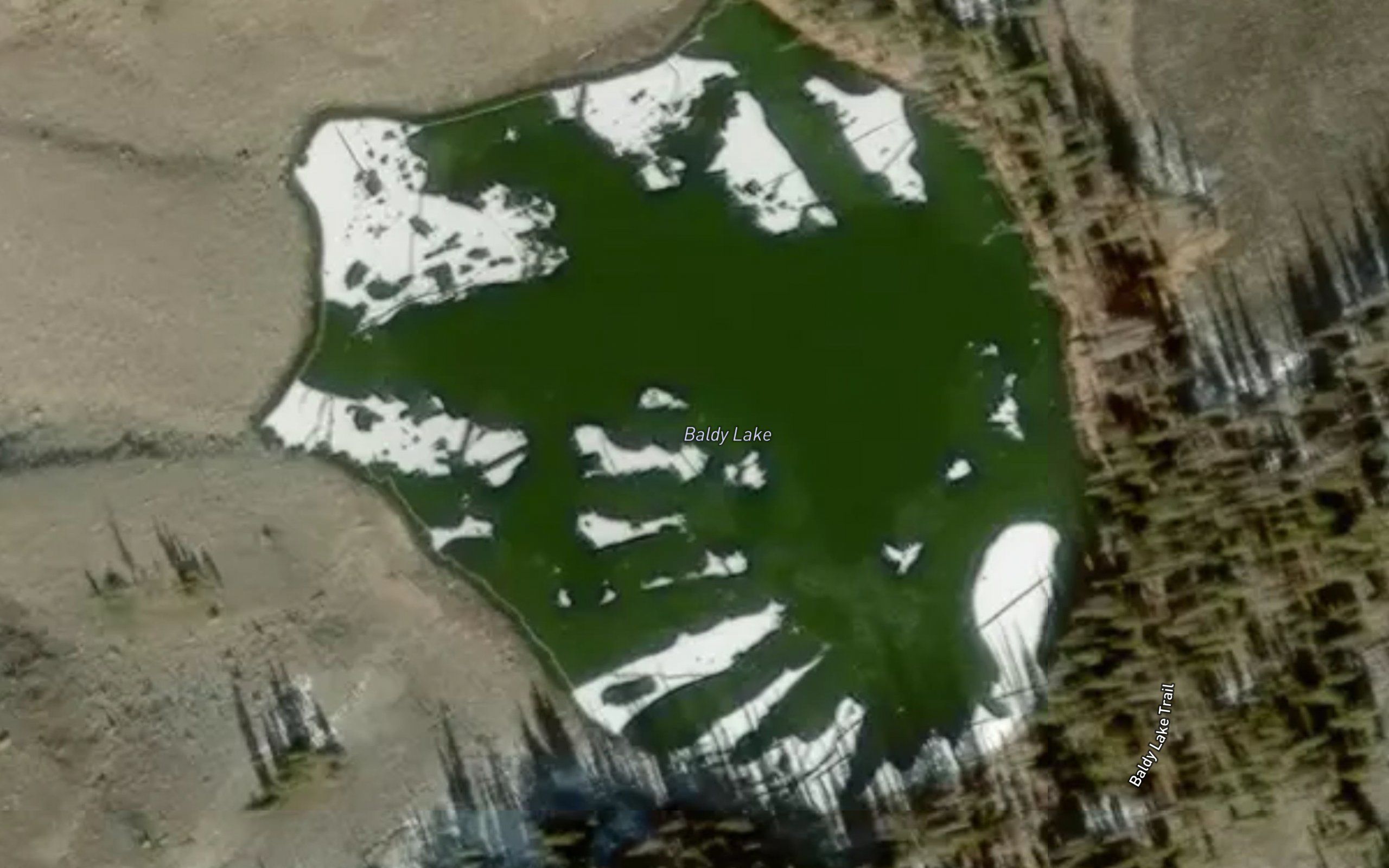 Baldy Lake