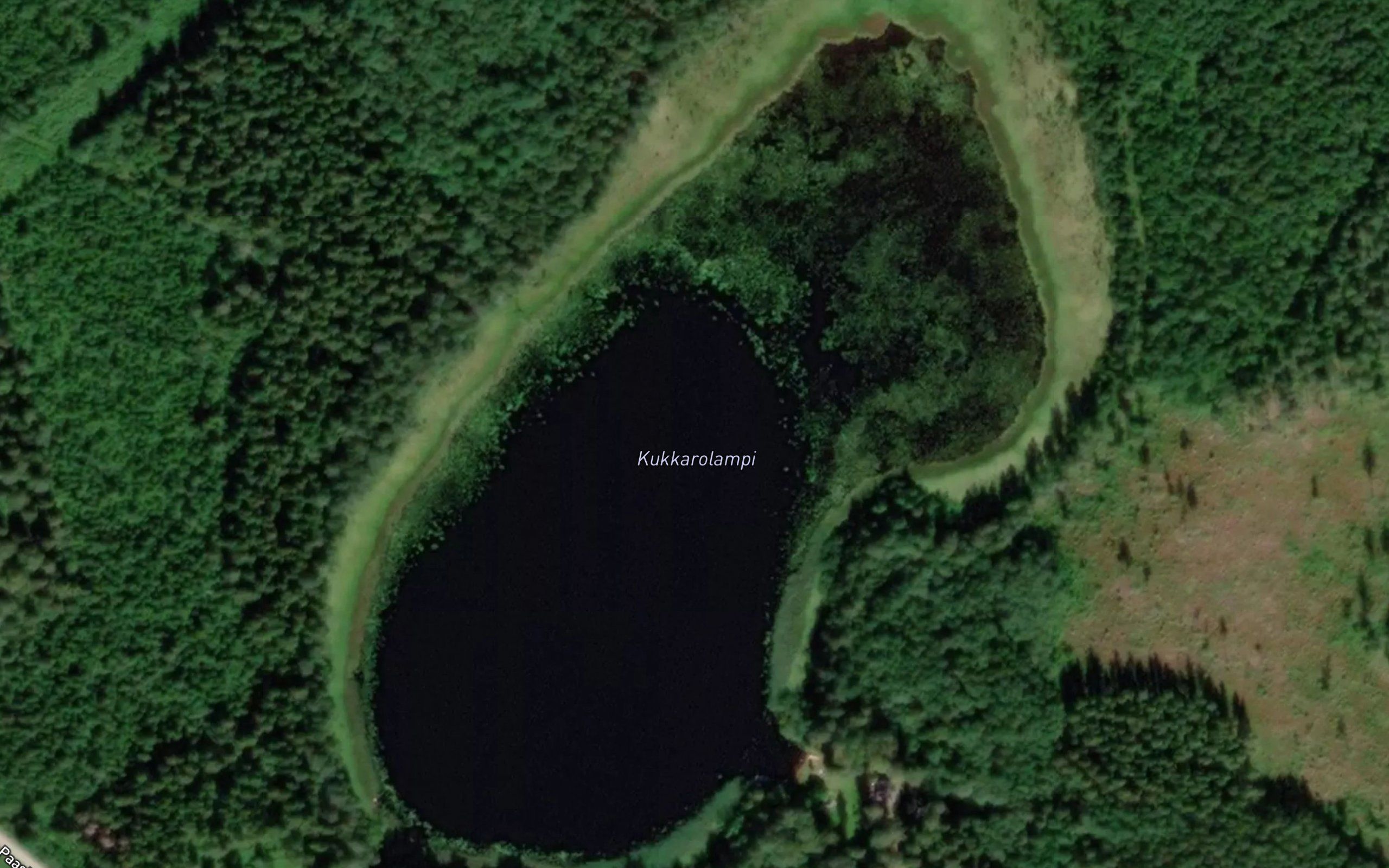 Kukkarolampi