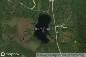 Deer Lake