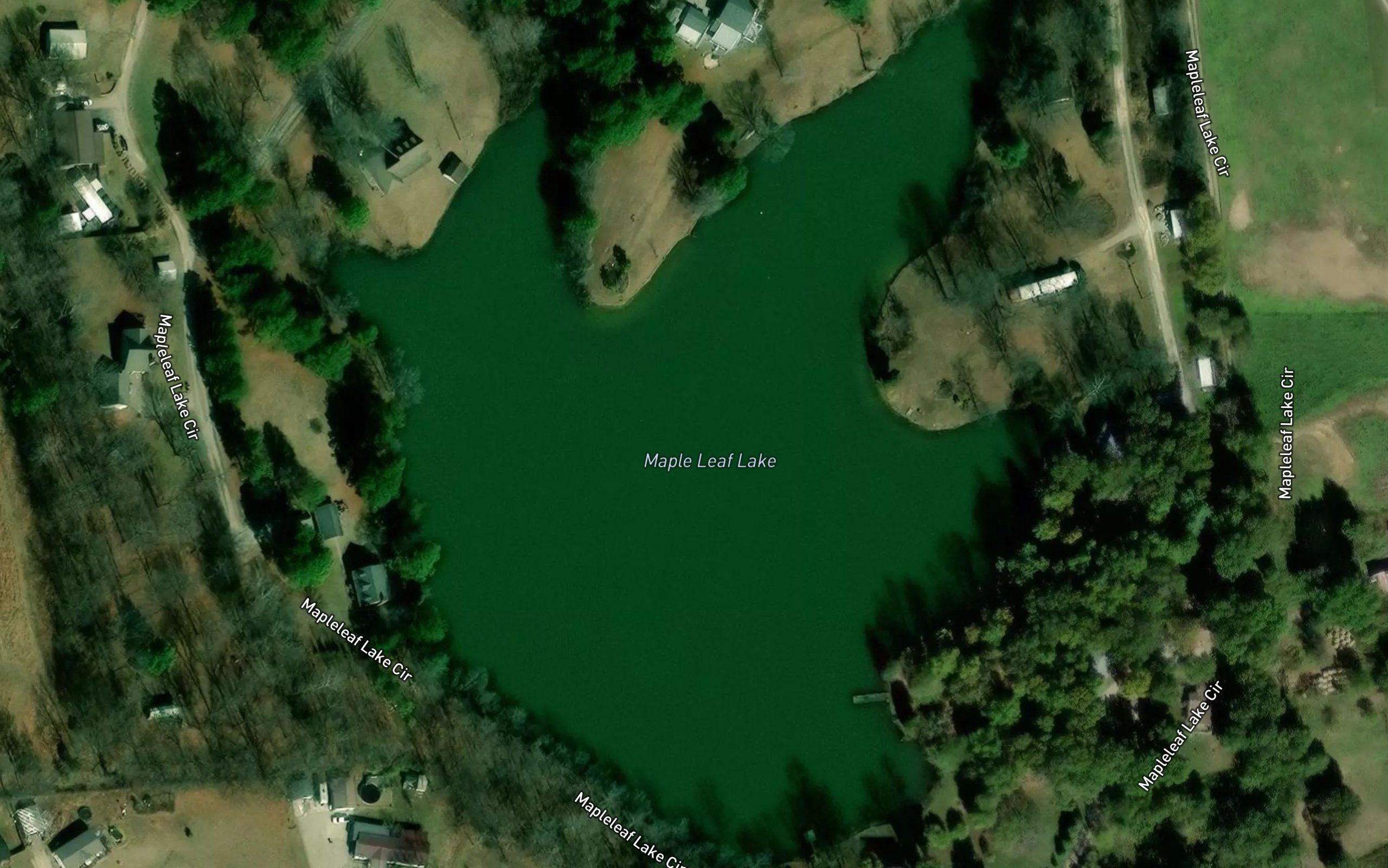 Maple Leaf Lake