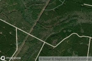 North Prong College Creek