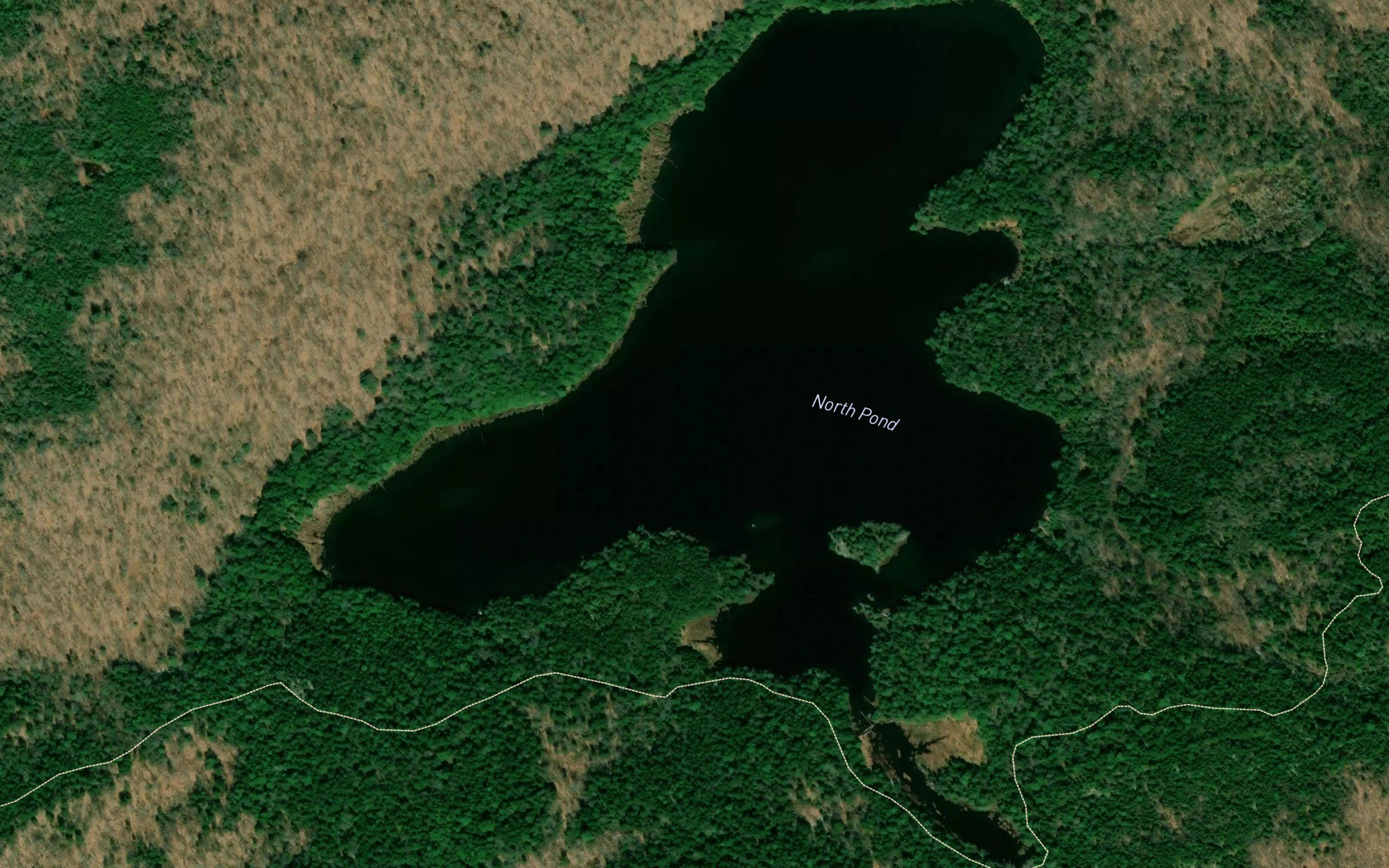 North Pond