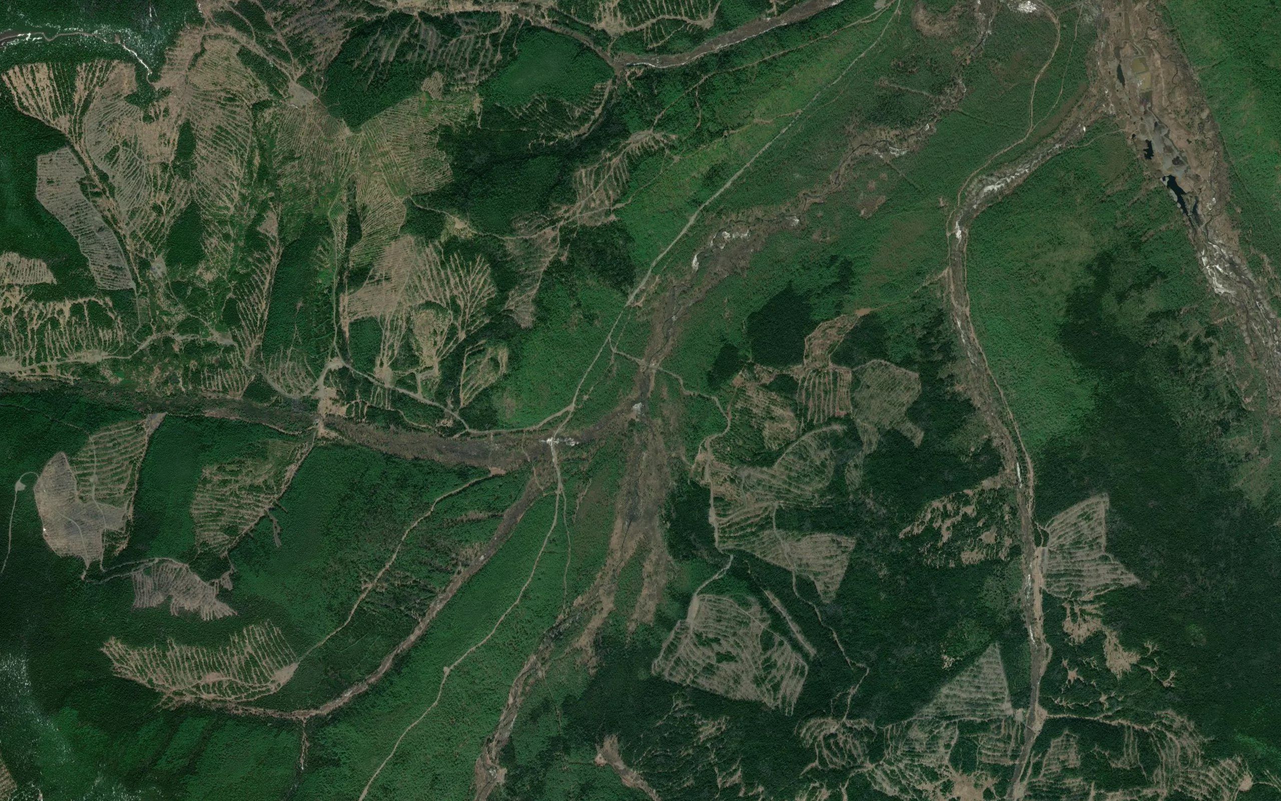 Krivoy