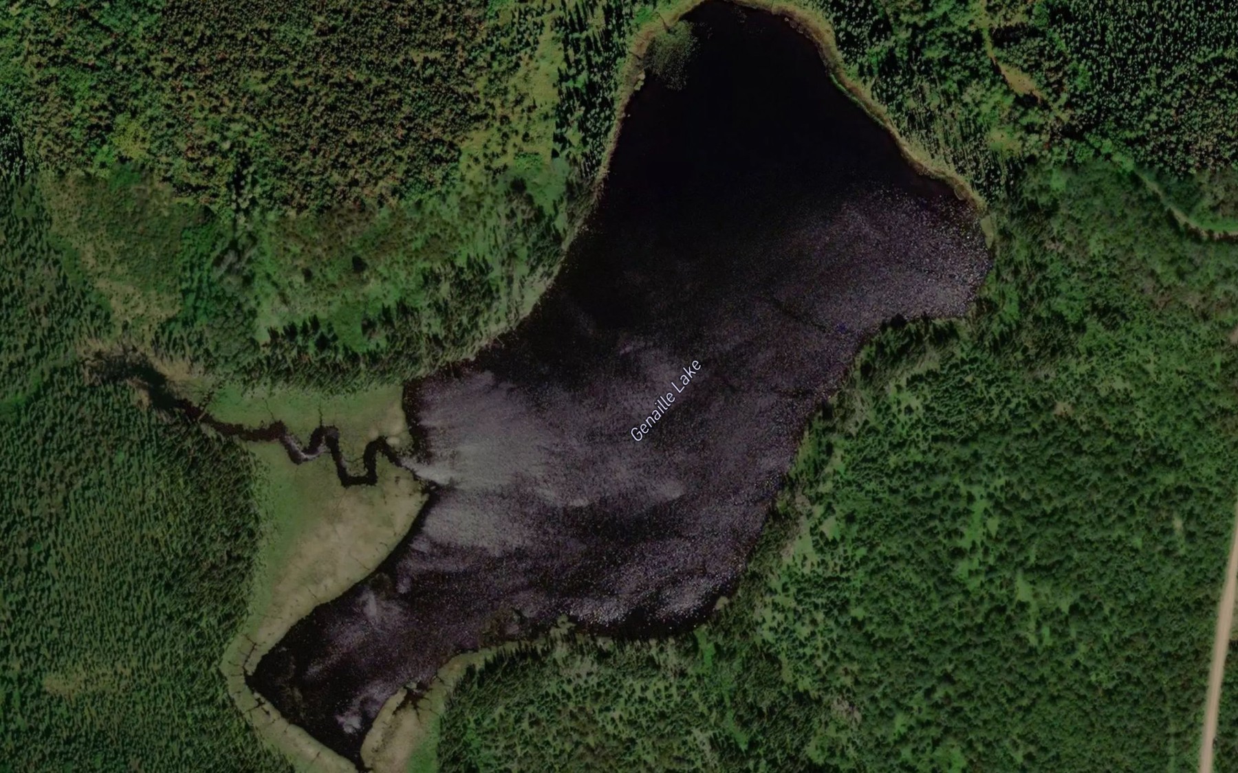 Satellite map of the Genaille Lake