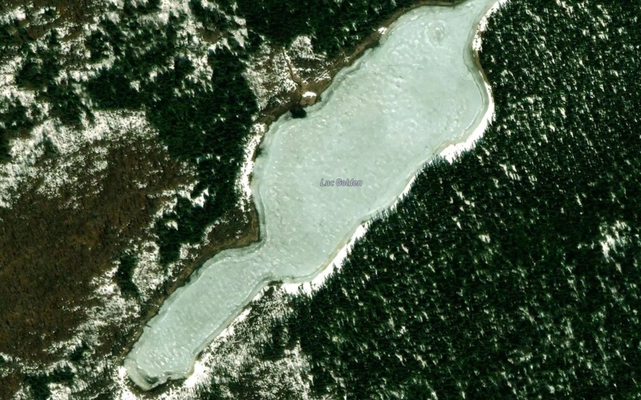 Lac Golden