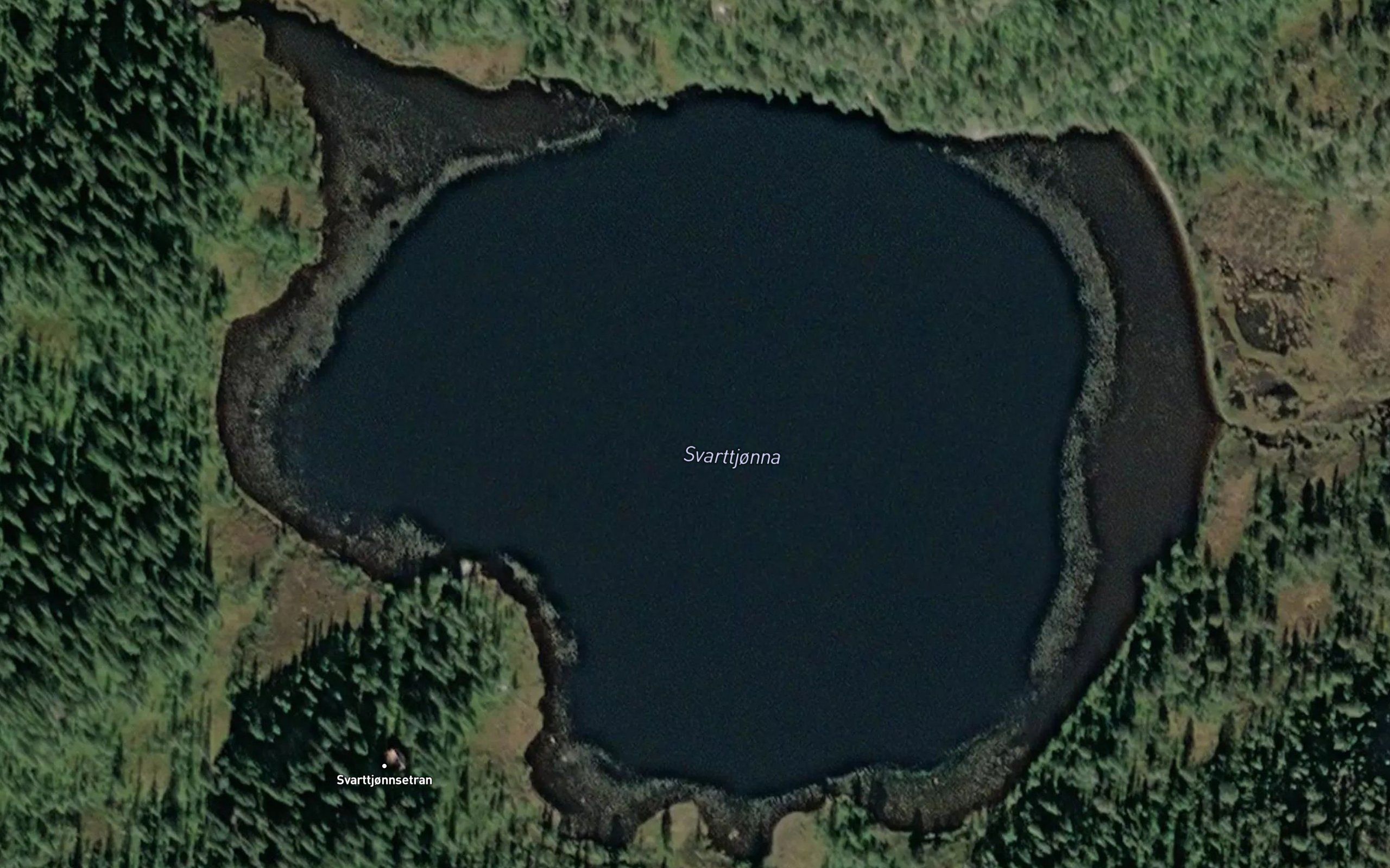 Svarttjorna