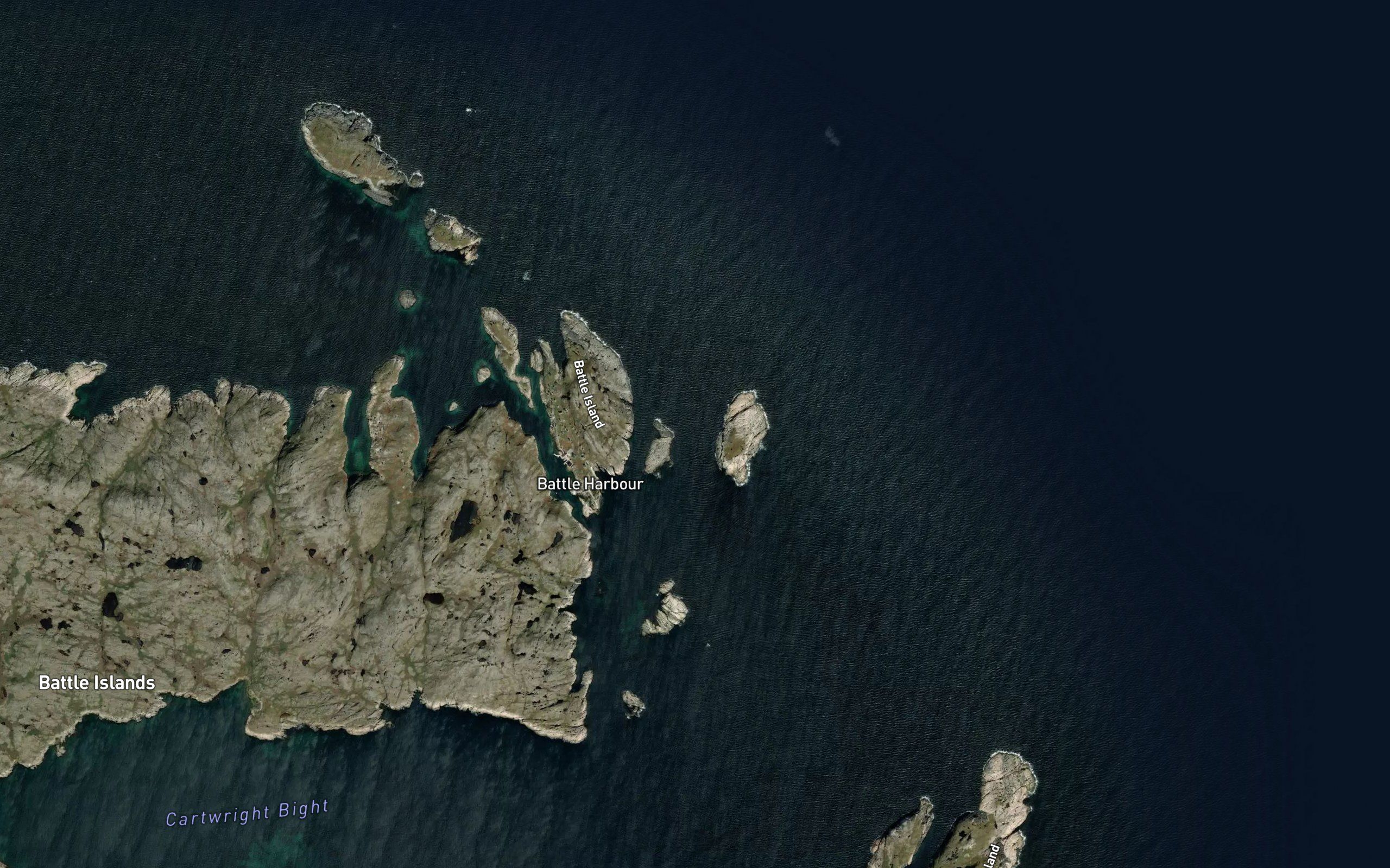Gull Island Tickle
