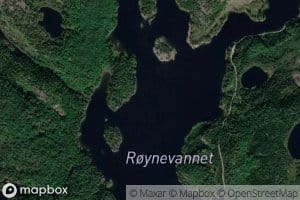 Roynevannet