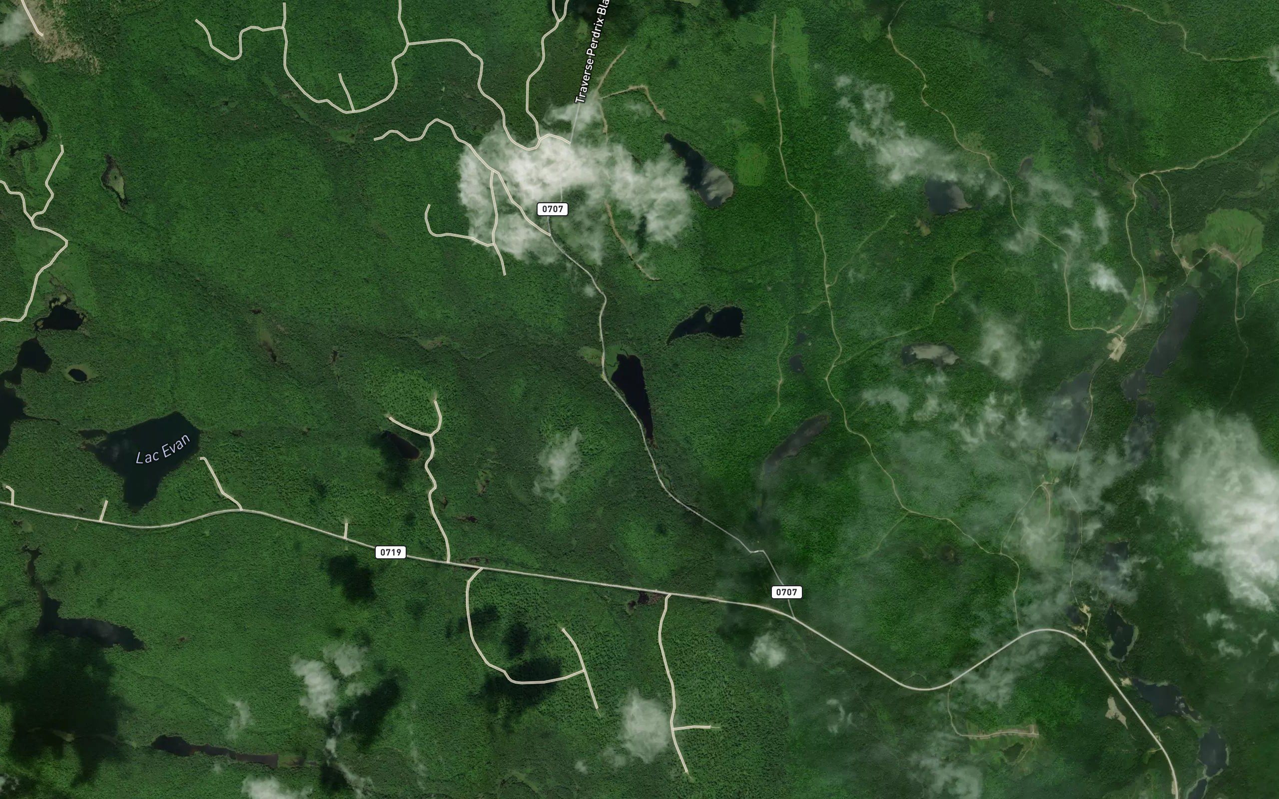 Lac Holly