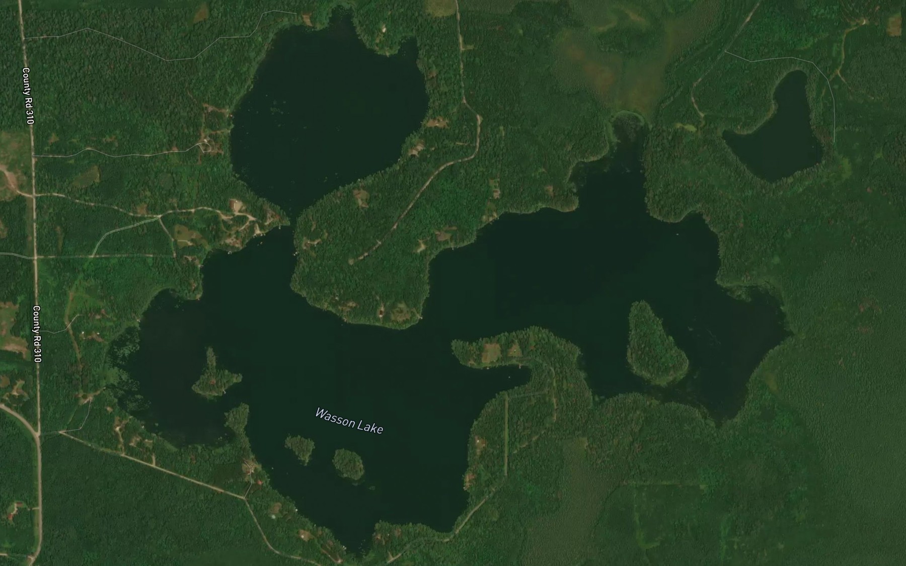 Satellite map of the Wasson Lake