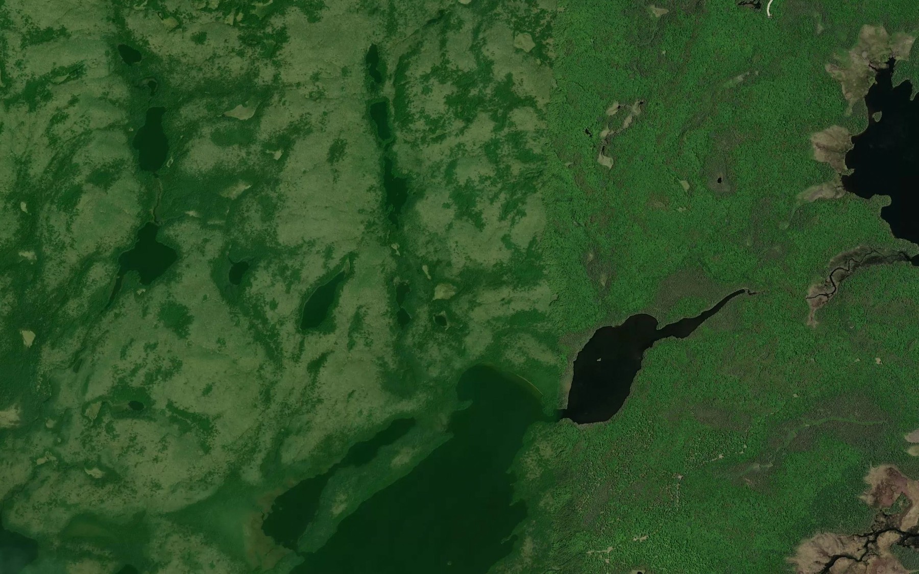 Satellite map of the Grosbeak Creek