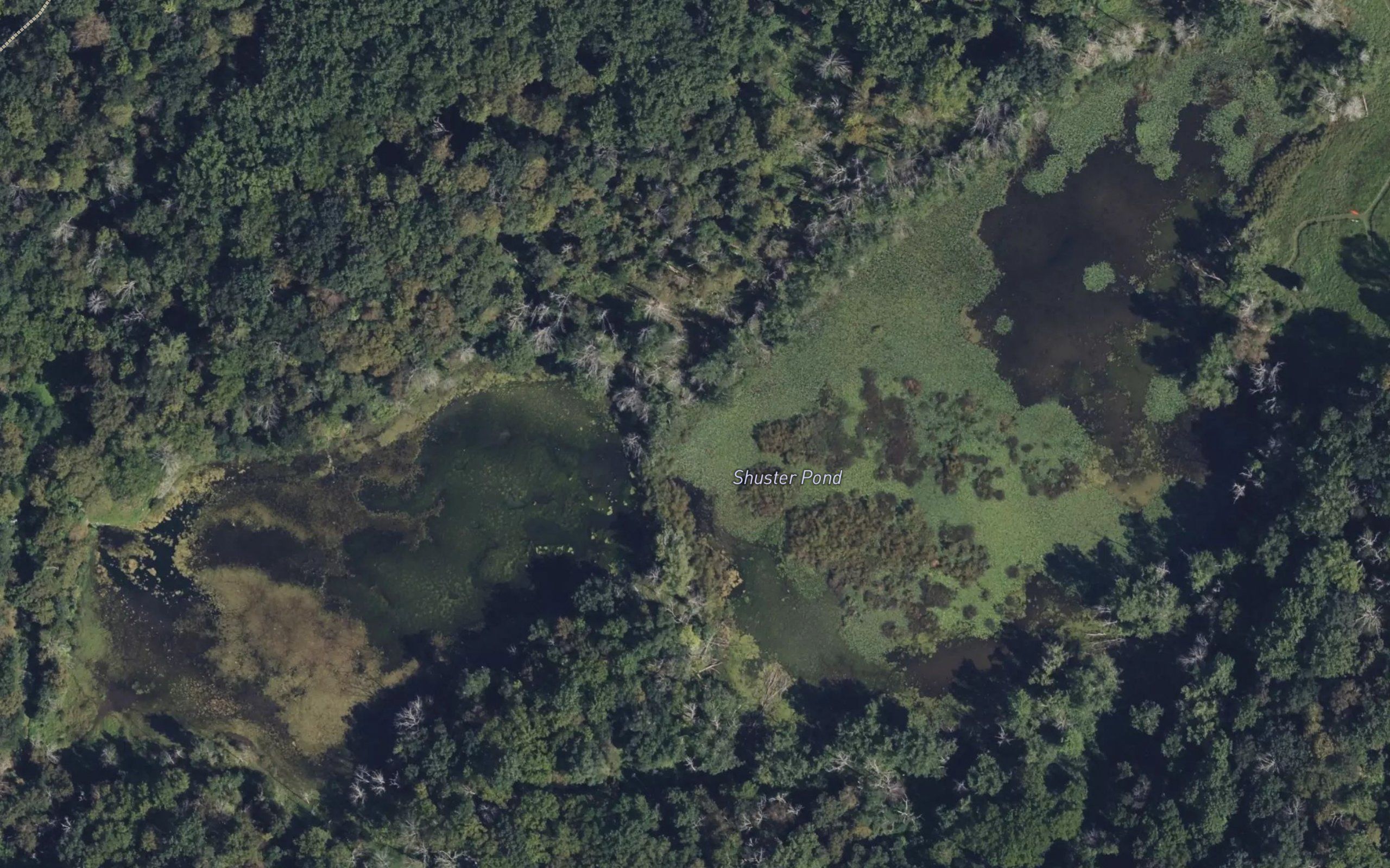 Shuster Pond