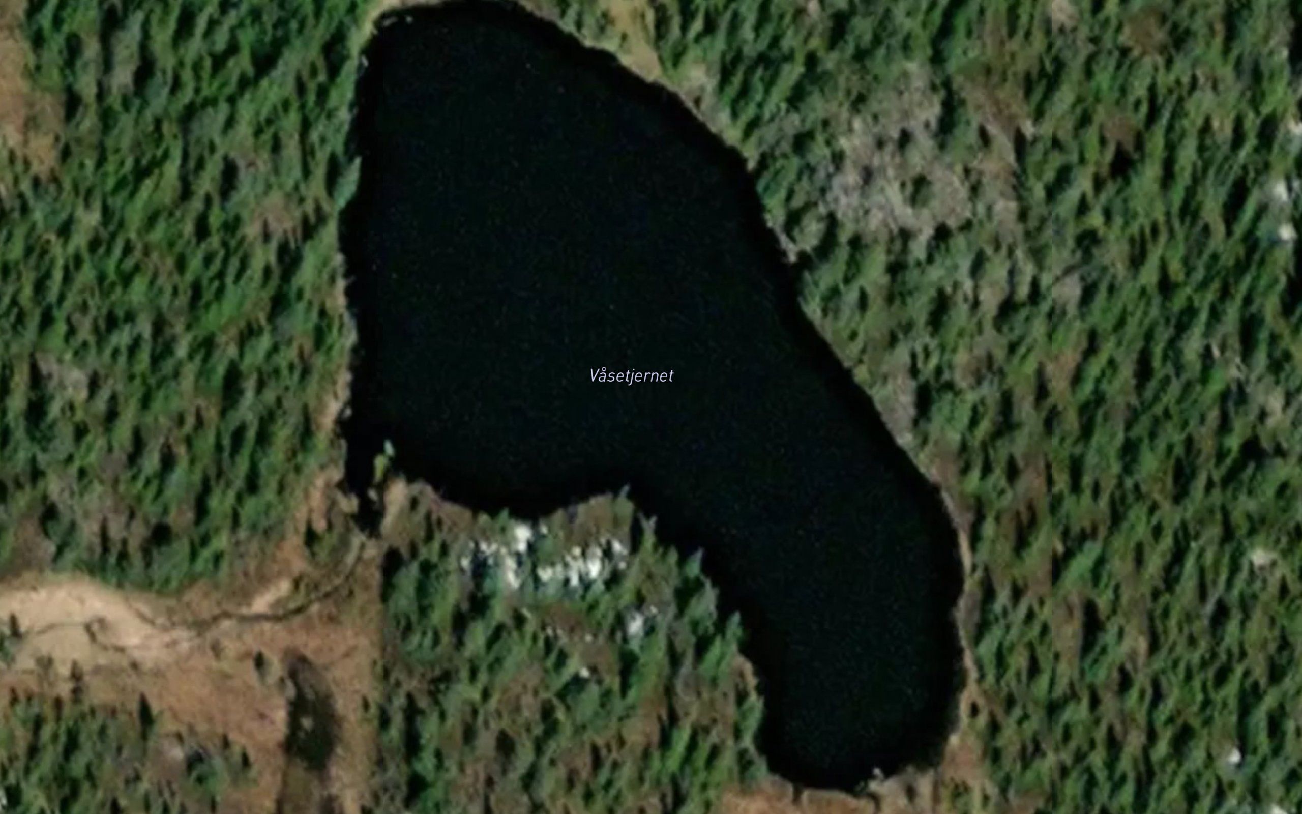 Vasetjernet