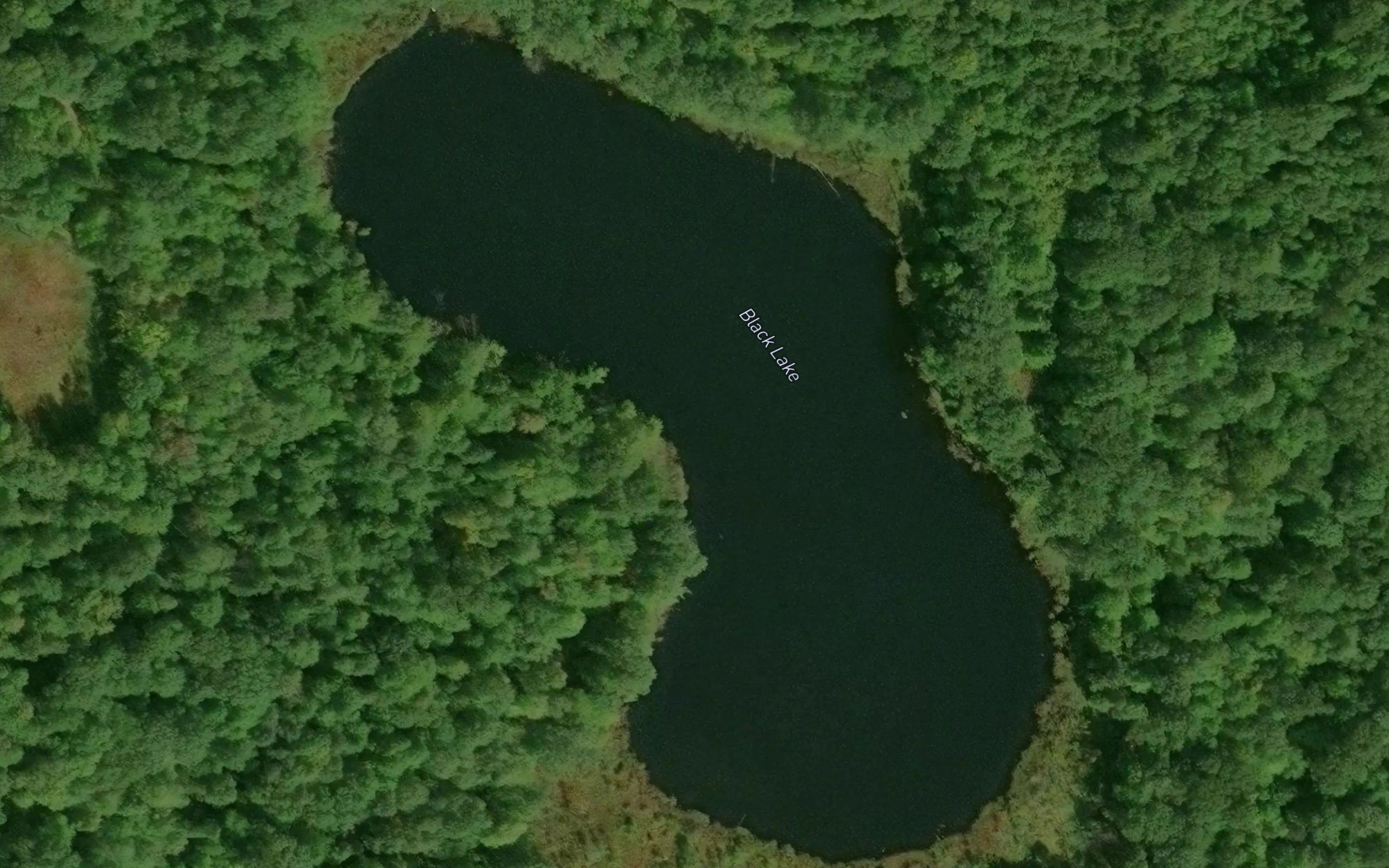 Black Lake