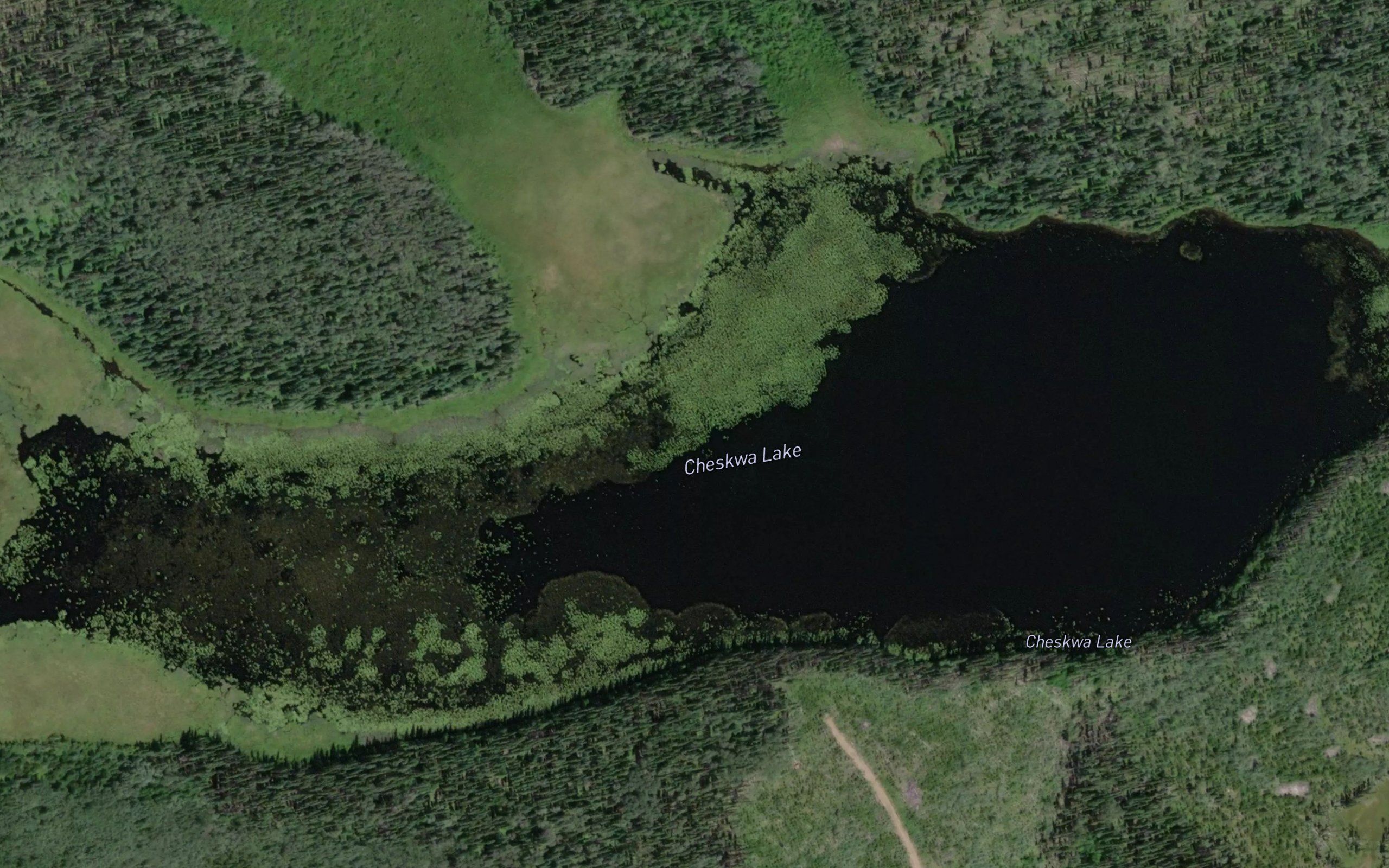 Cheskwa Lake