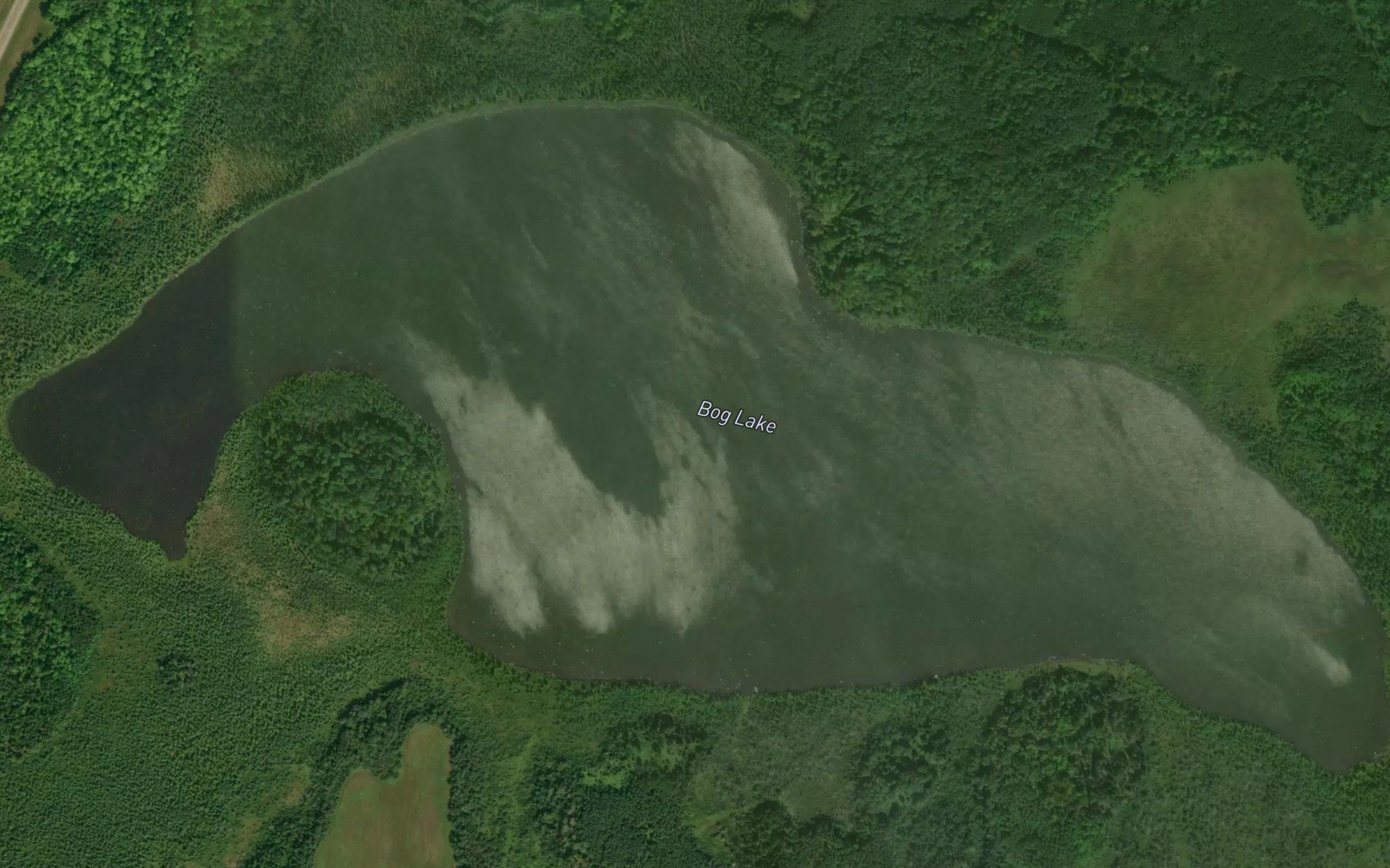 Bog Lake