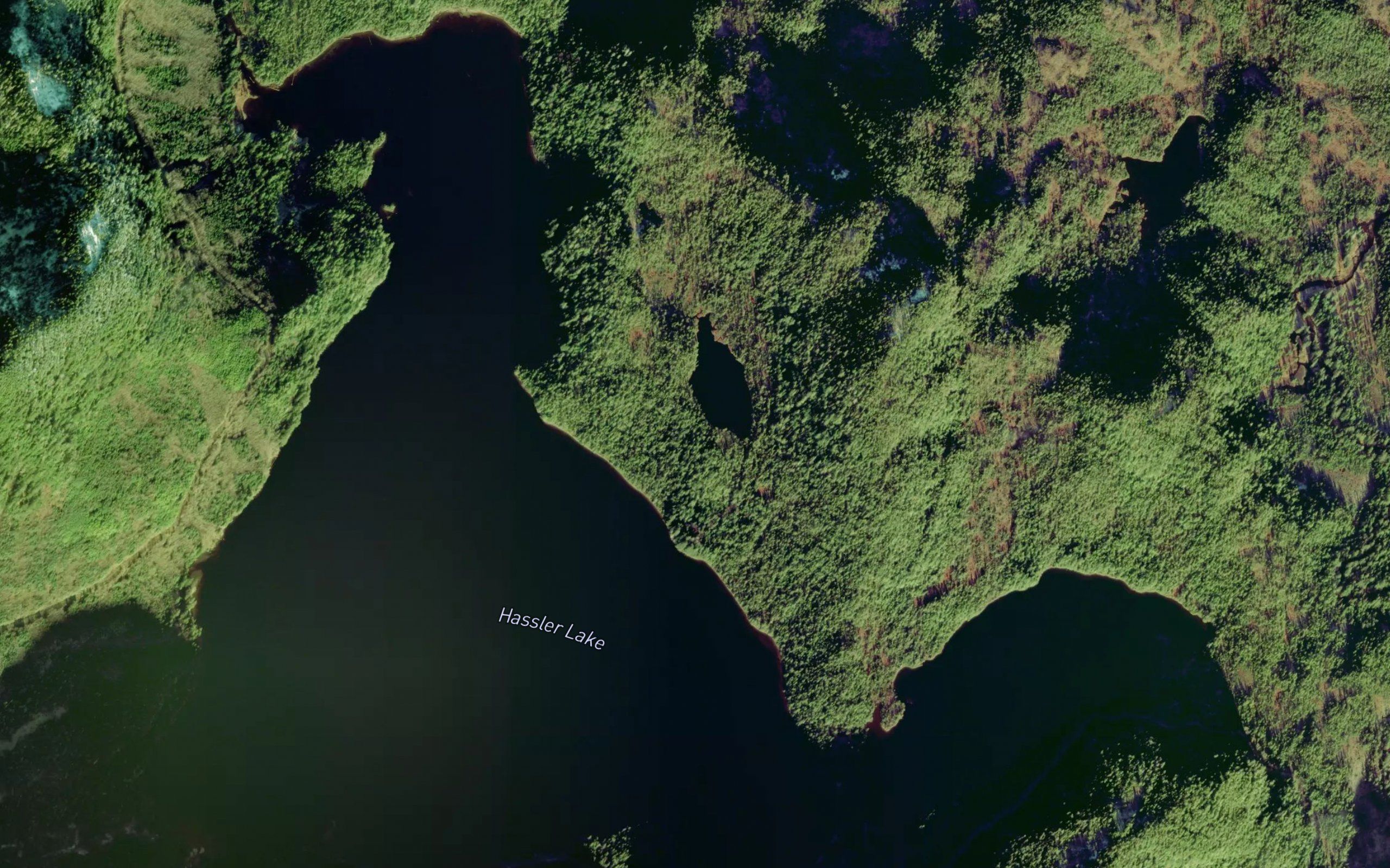Hassler Lake