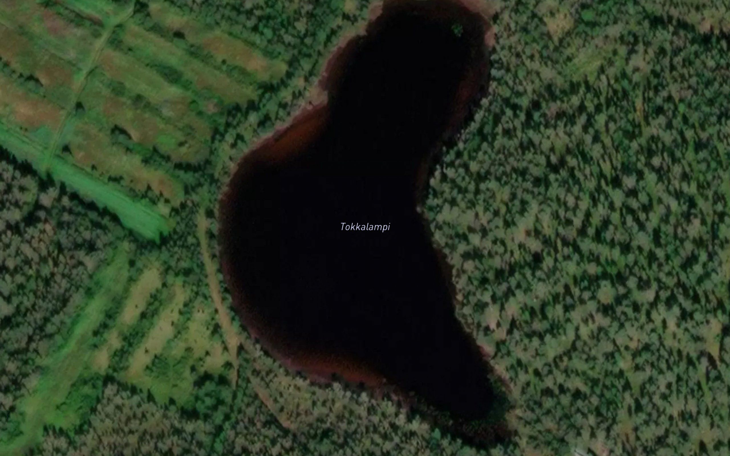 Tokkalampi