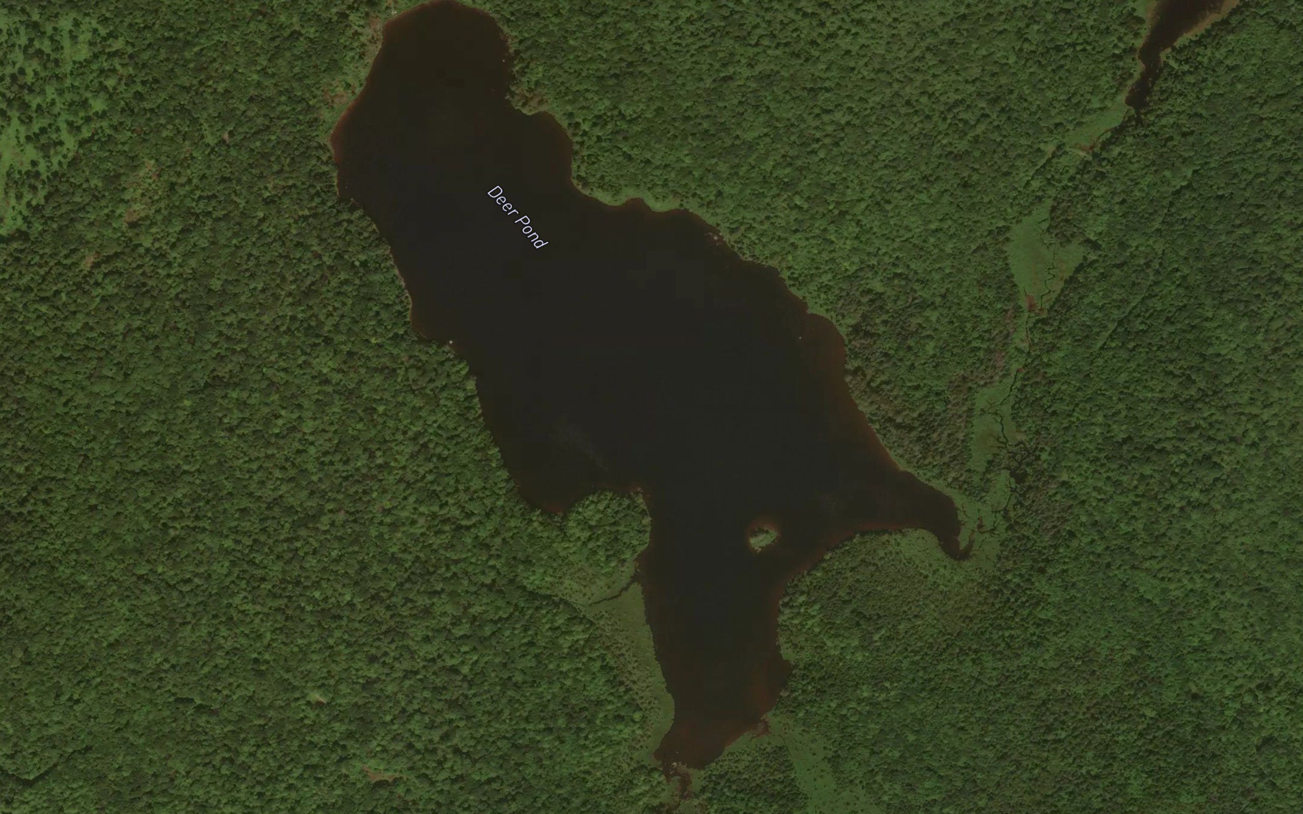 Deer Pond