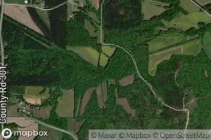 South Branch Hurricane Creek