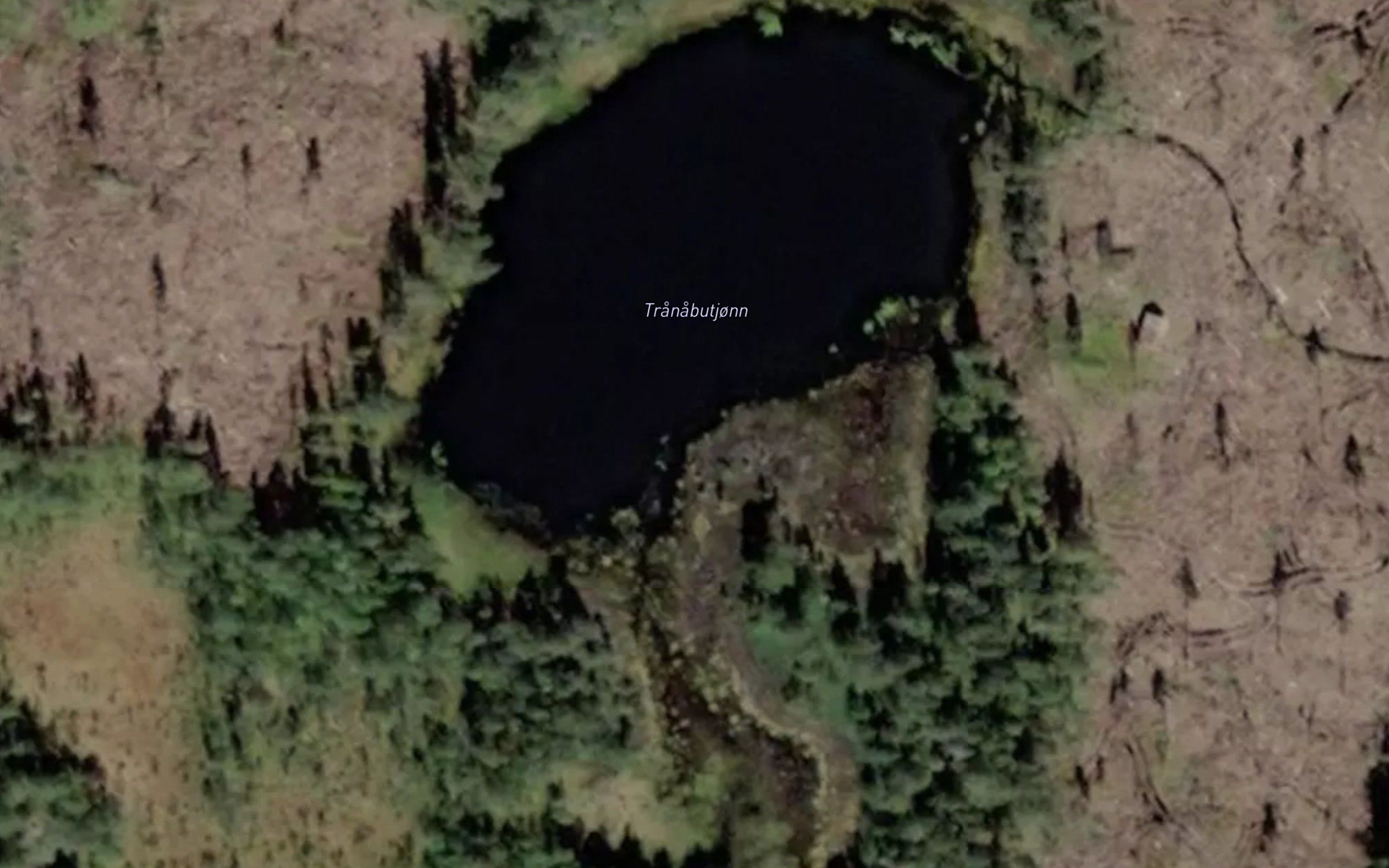 Tranabutjorn