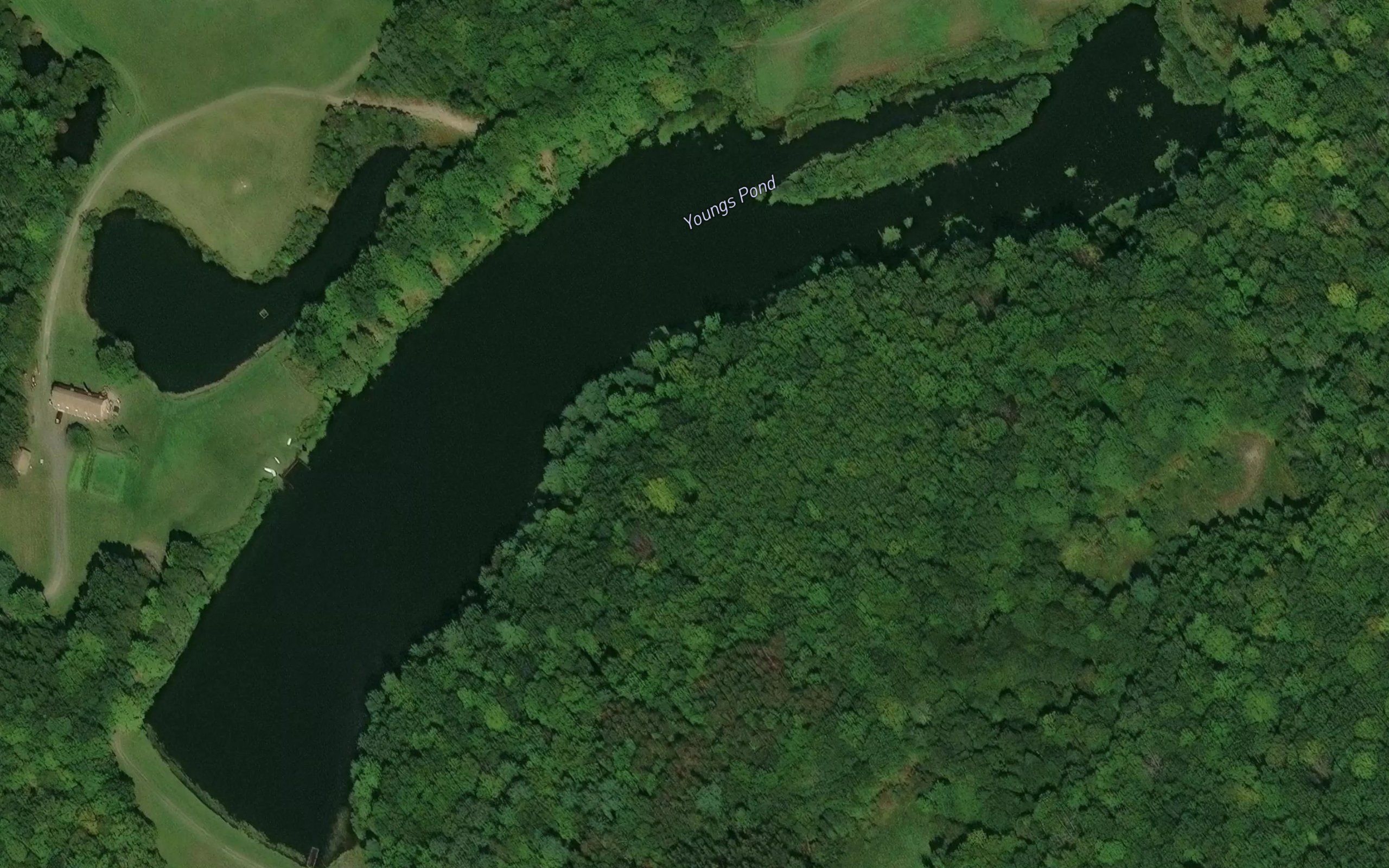 Youngs Pond