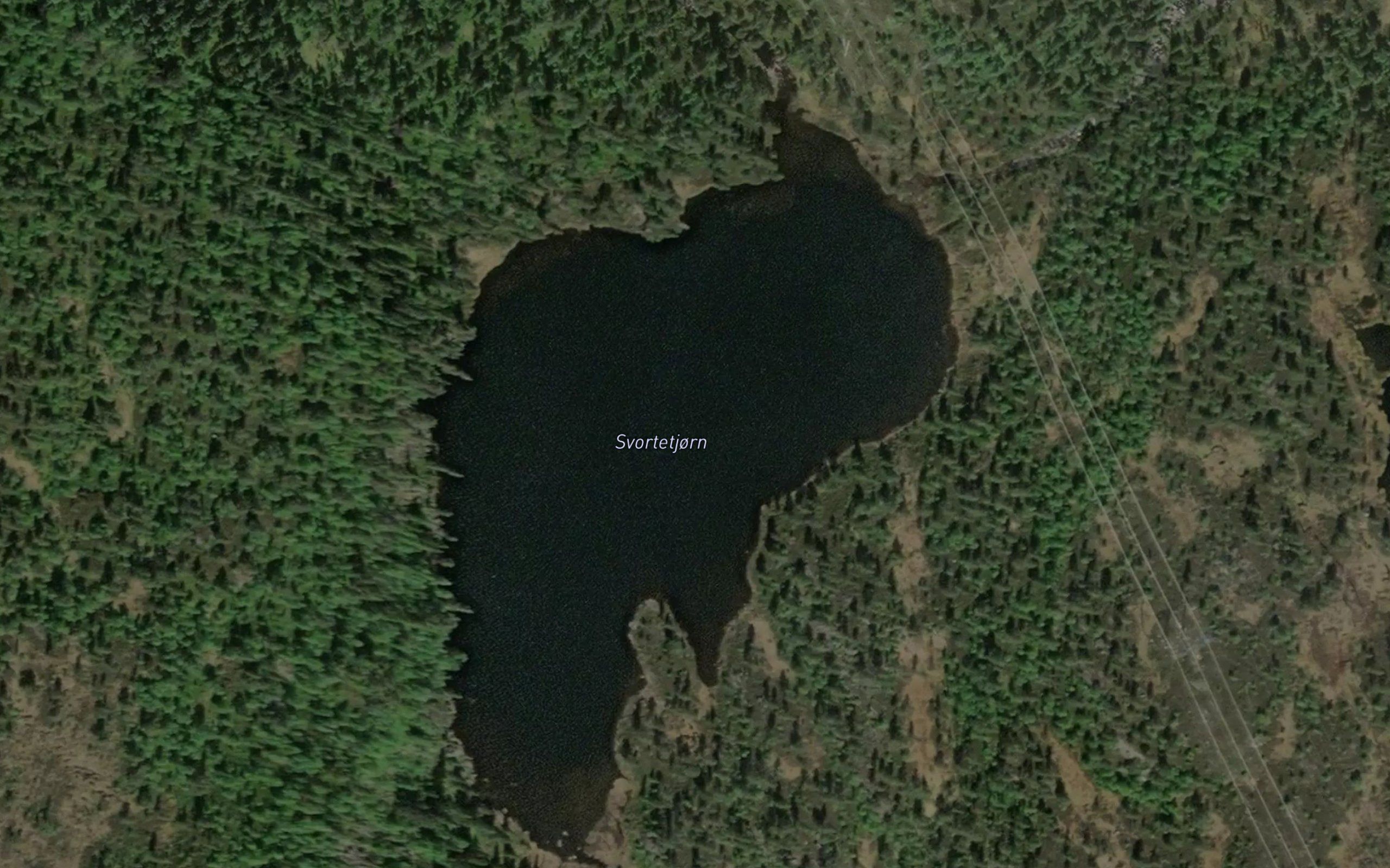 Svartetjonn