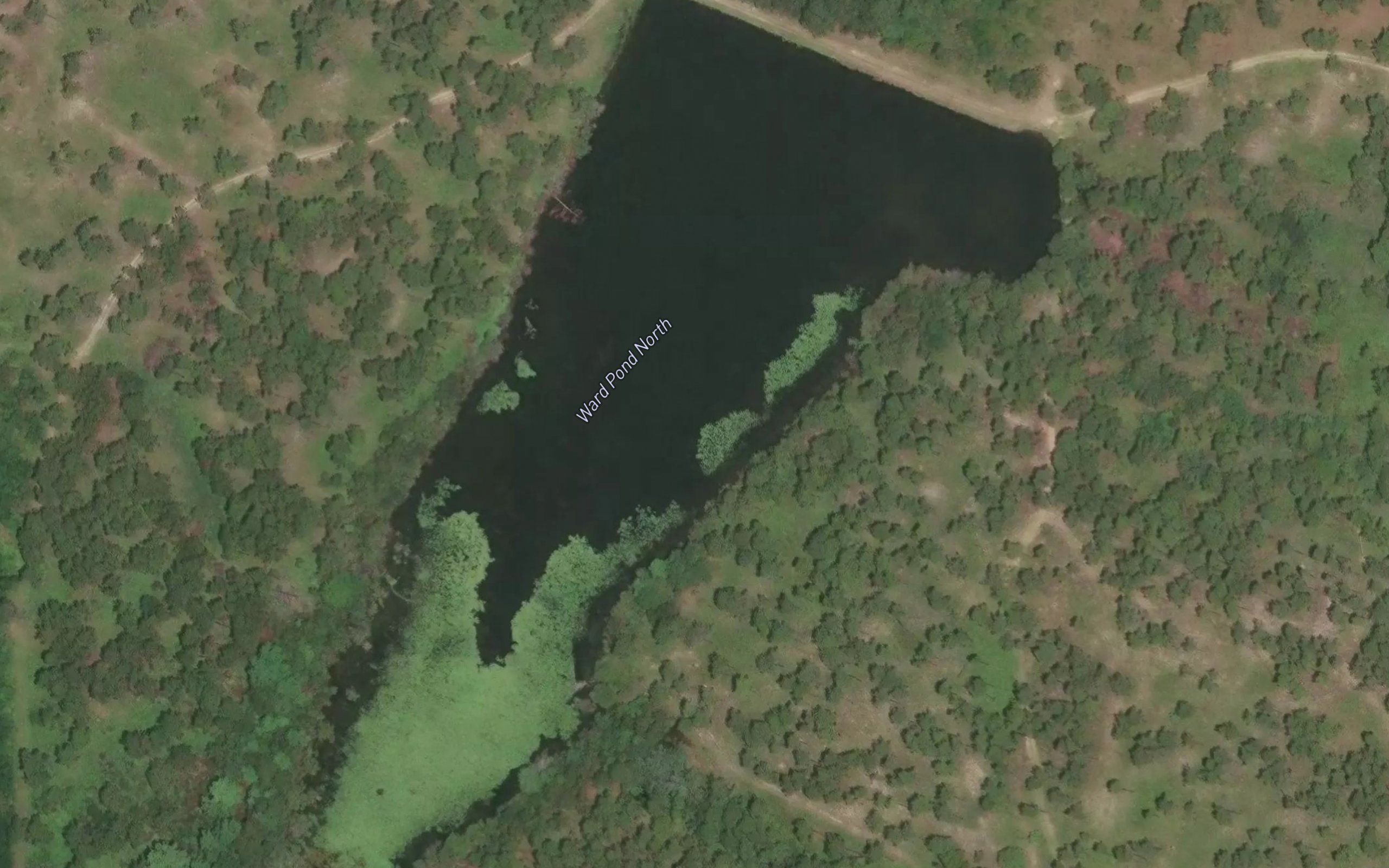 Ward Pond North