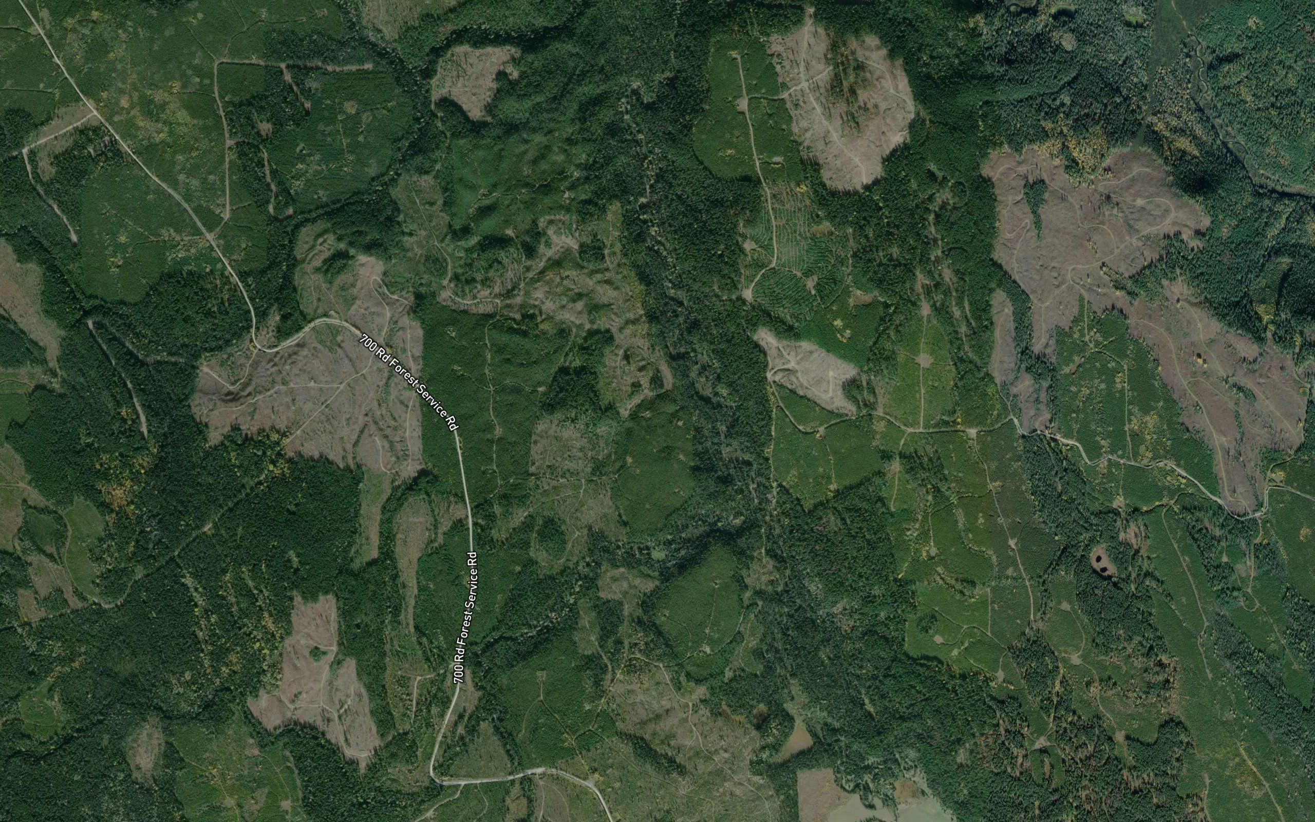 Burgess Creek