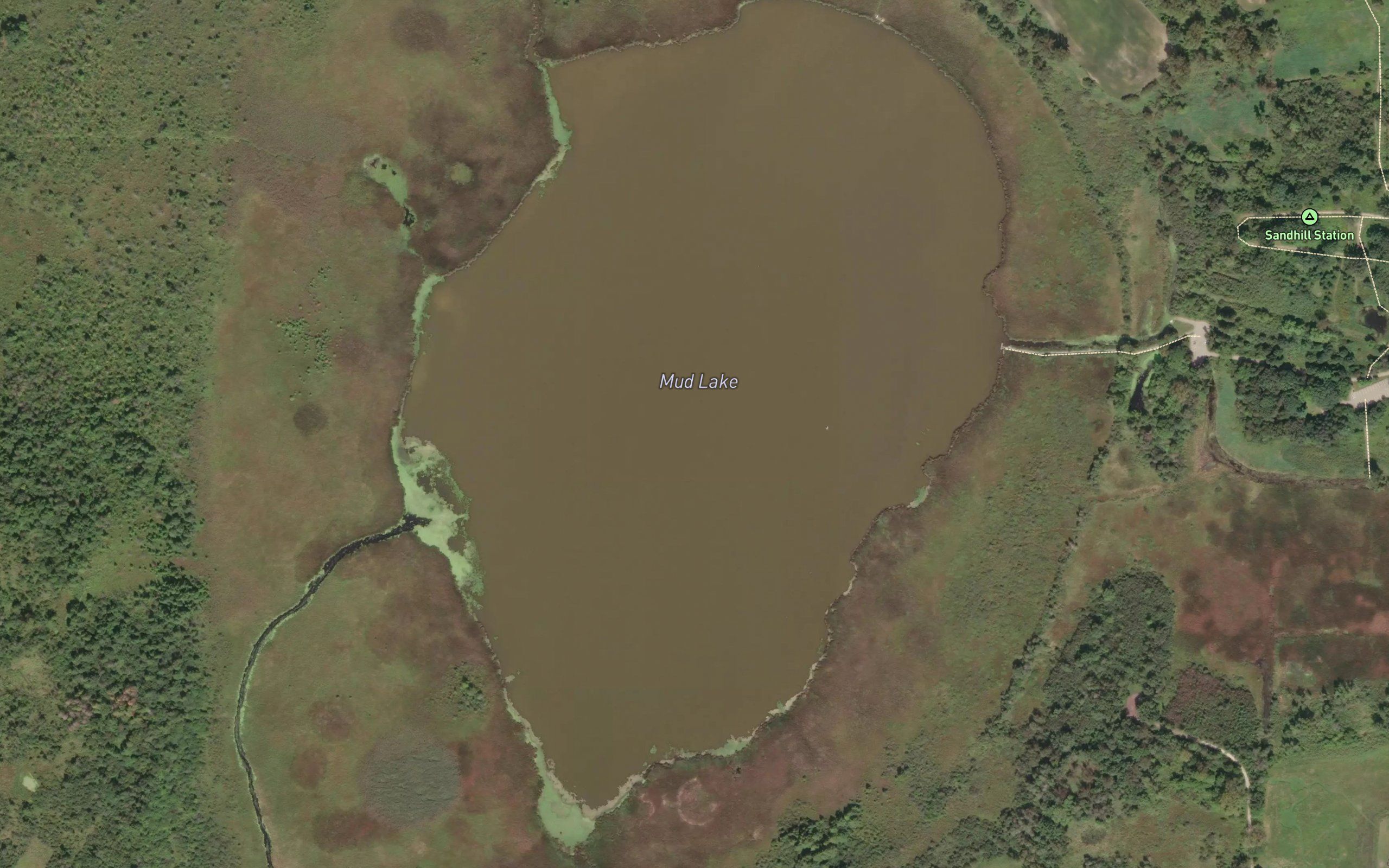 Mud Lake