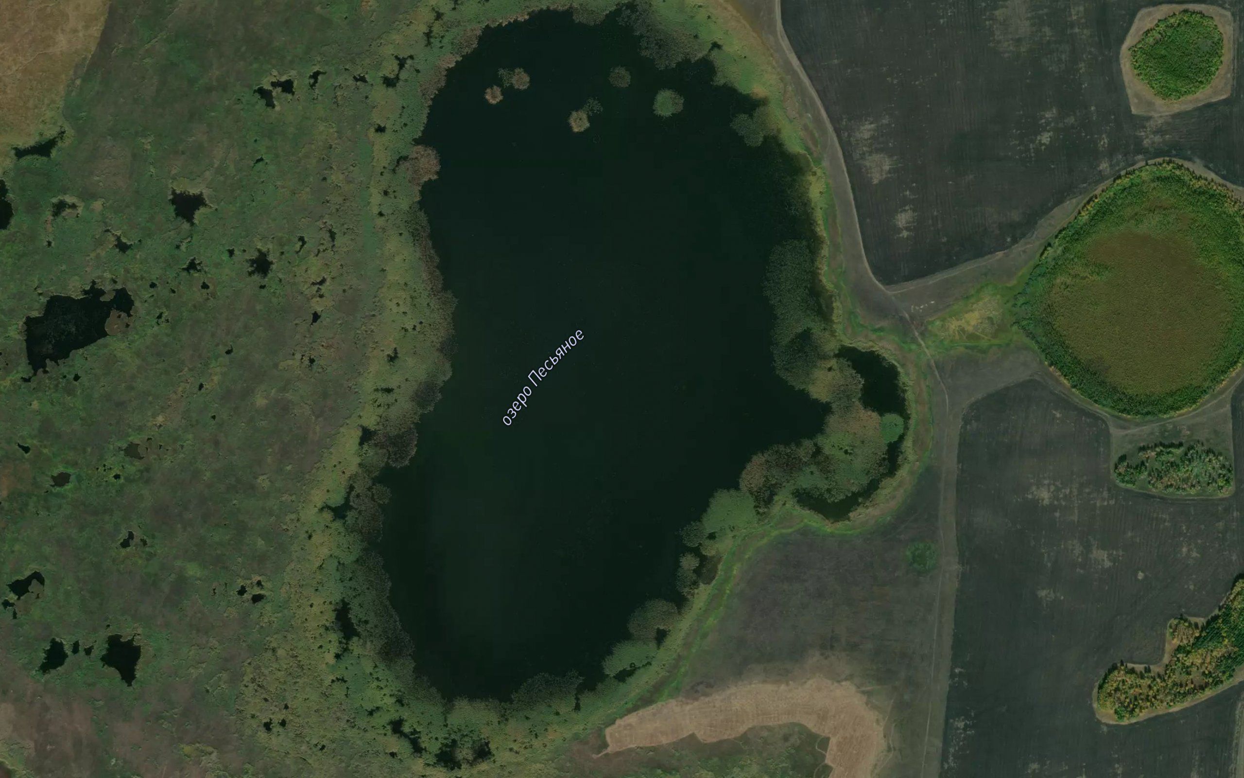 Ozero Pes'yanoye