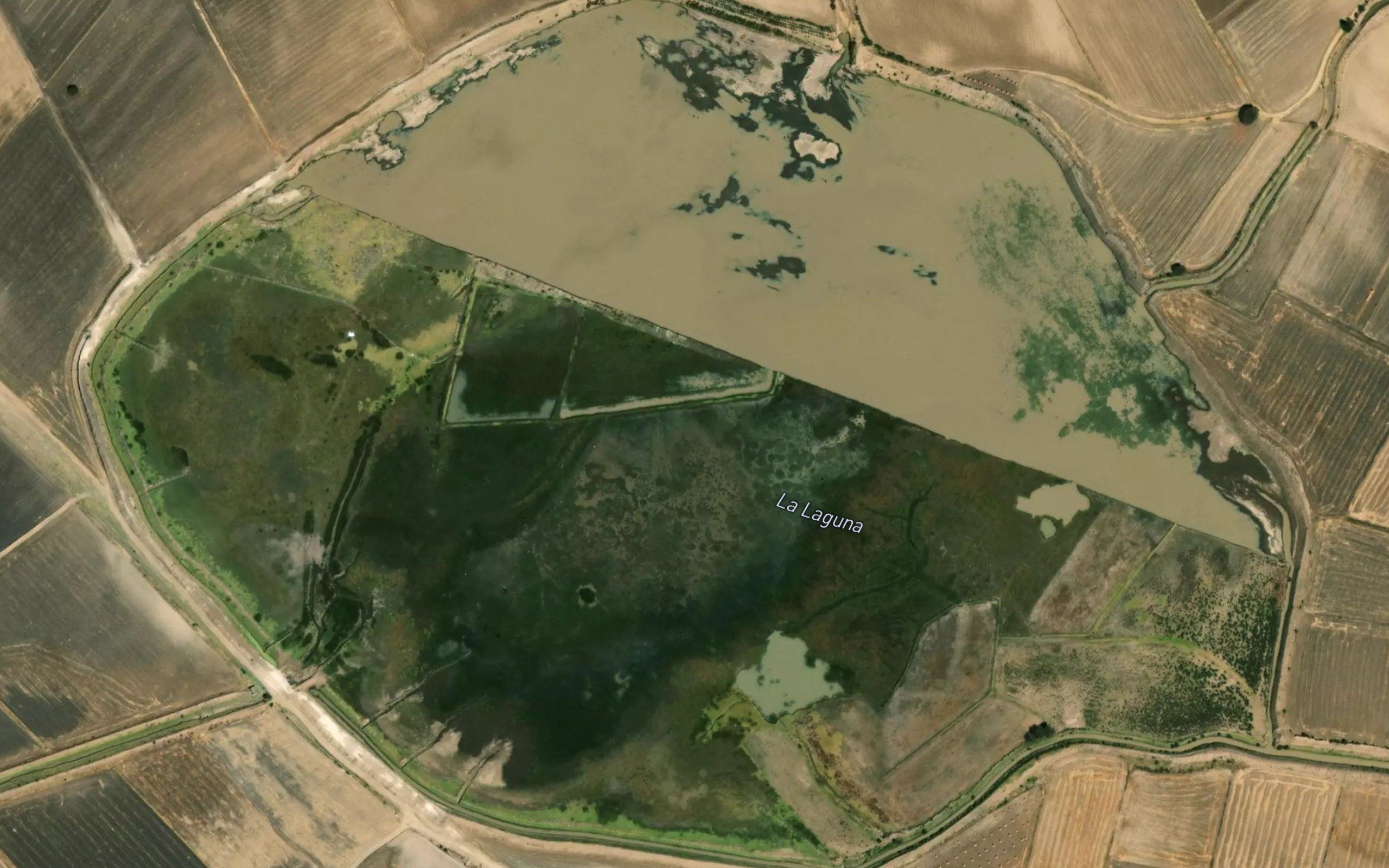 Laguna Llanos de Apan