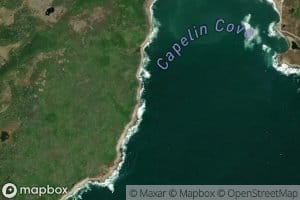 Capelin Cove