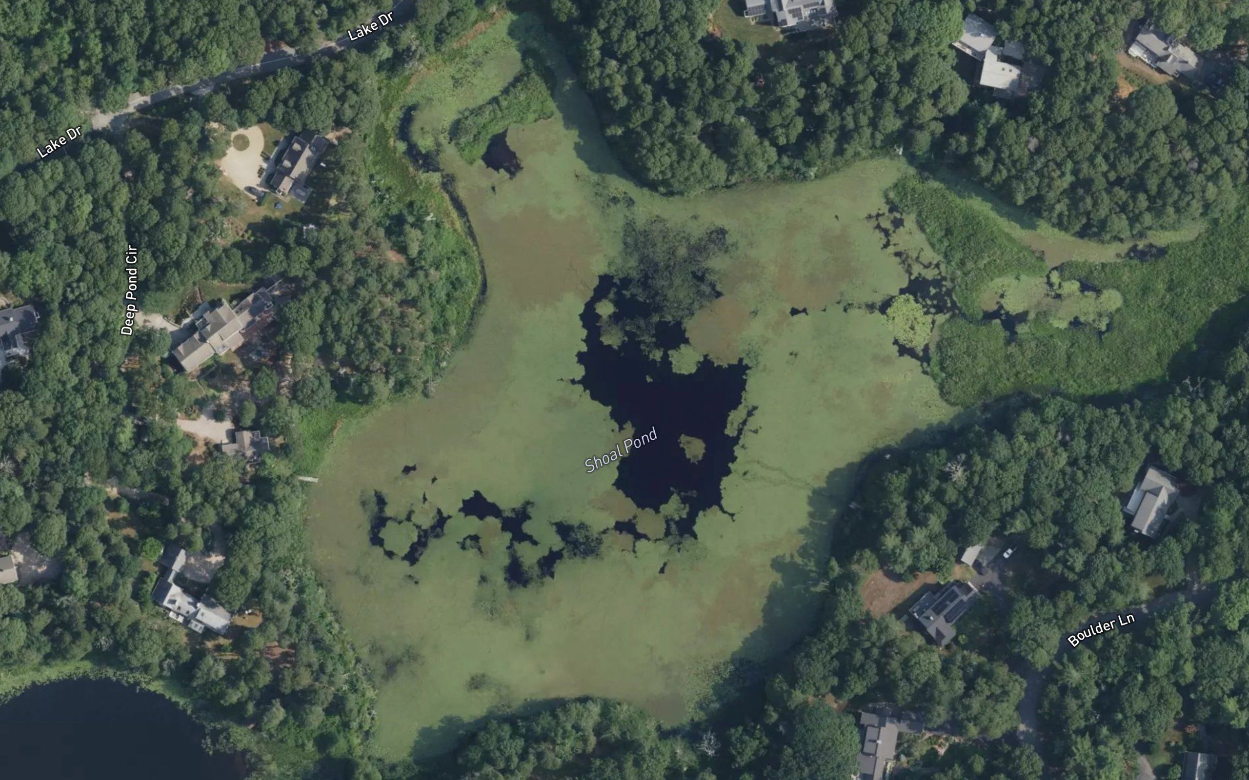 Shoal Pond
